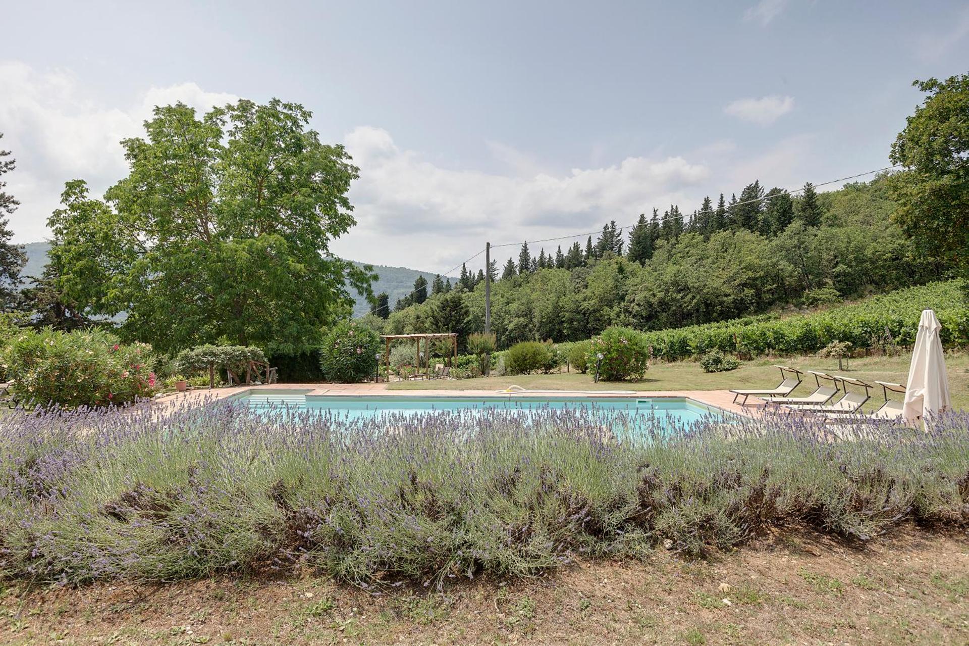 Podere Vignola - Photo 29