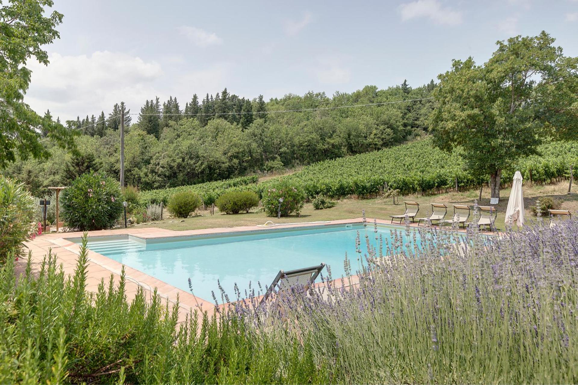 Podere Vignola - Photo 31