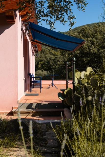 La Chiesuola - Photo 116