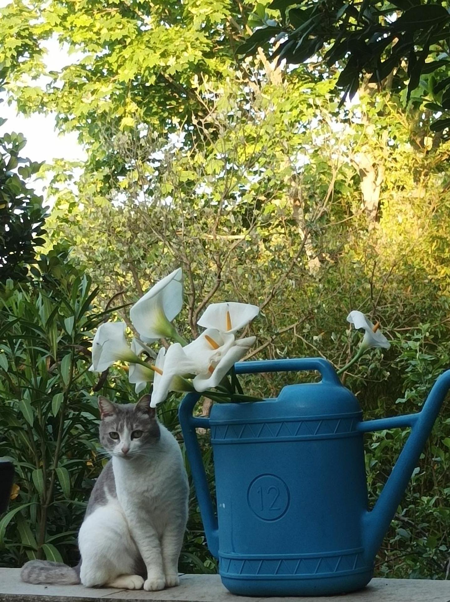 B&B Meladormo - Photo 62