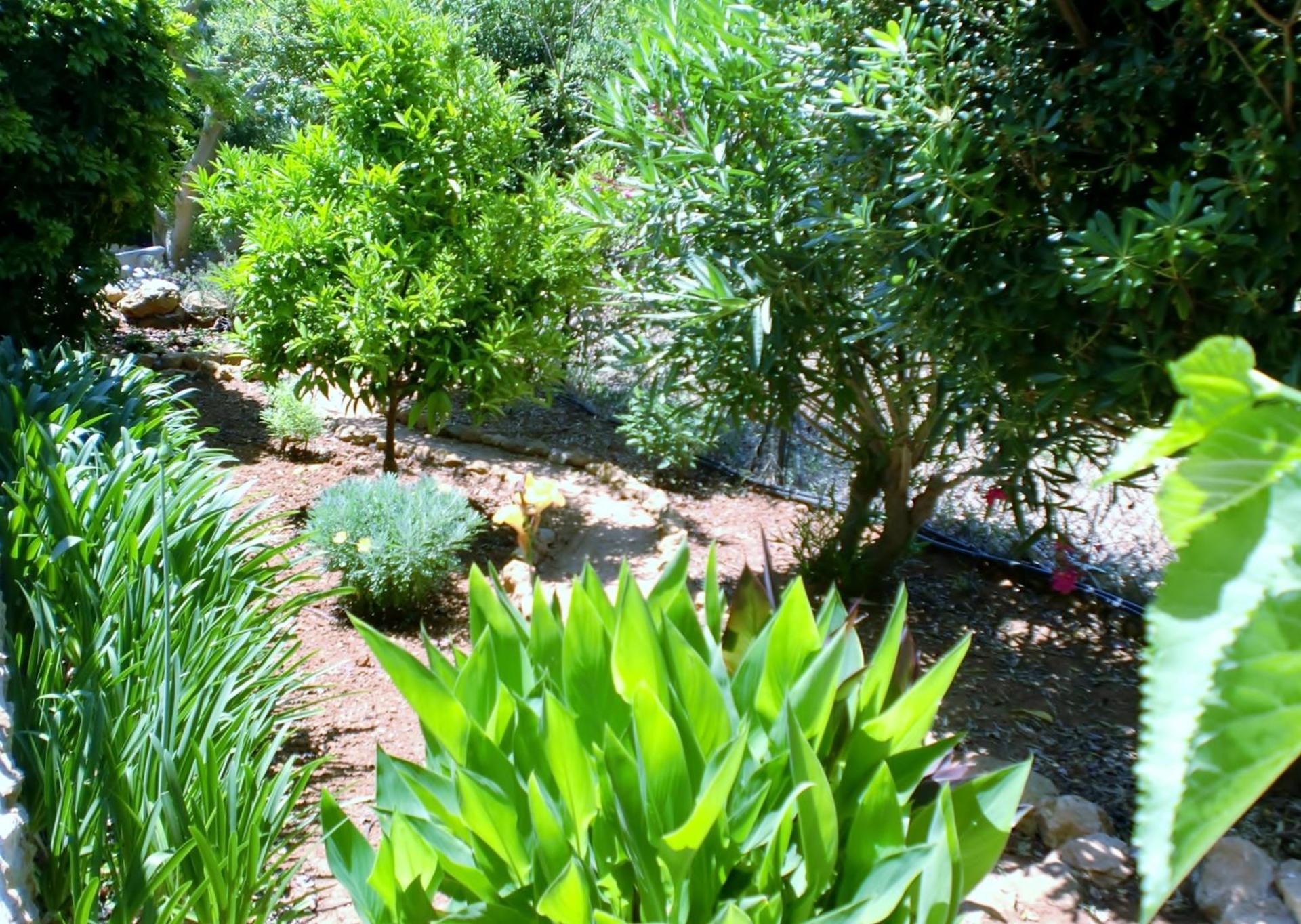 Quinta dos Caracois - Photo 24