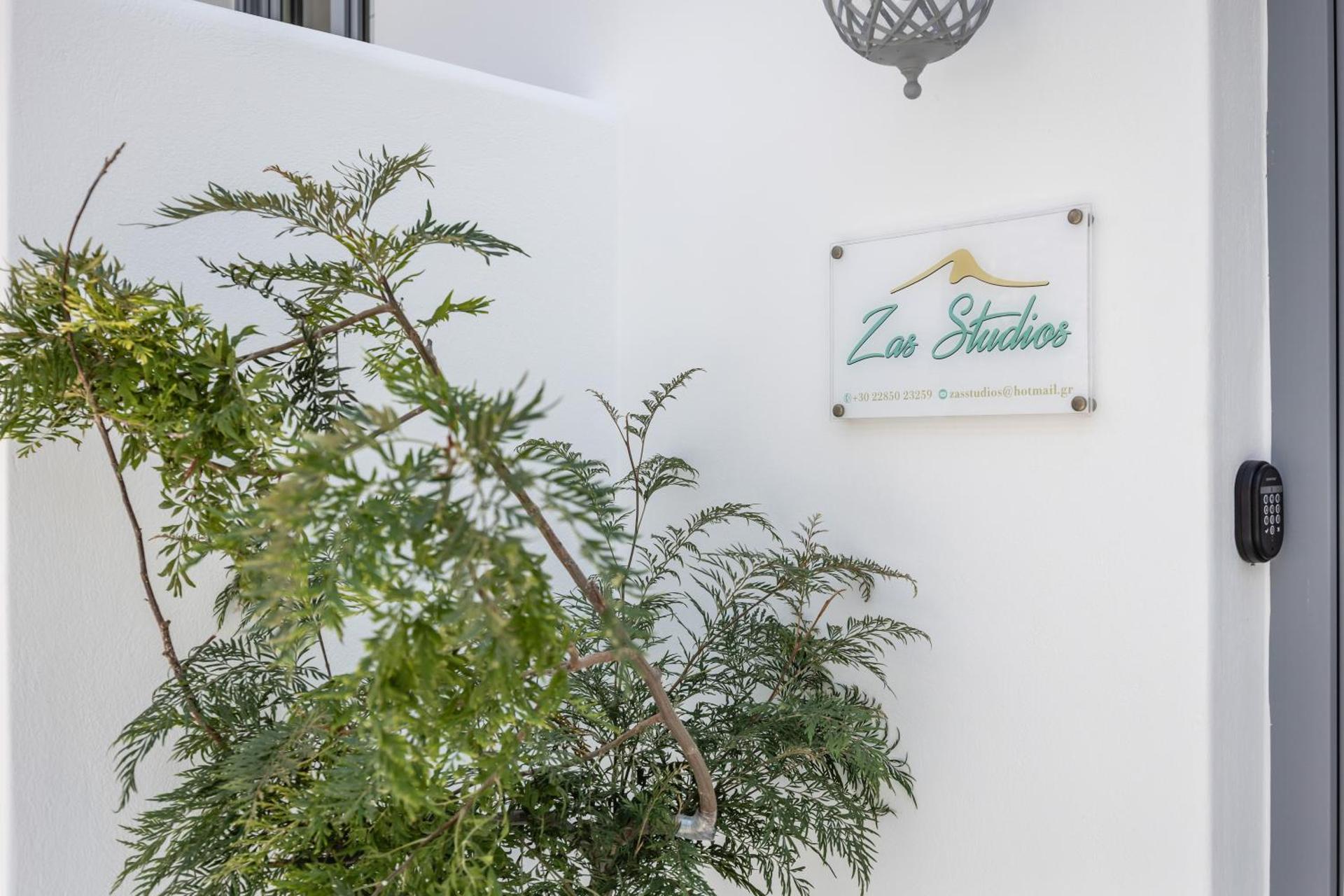 Zas Studios - Photo 44