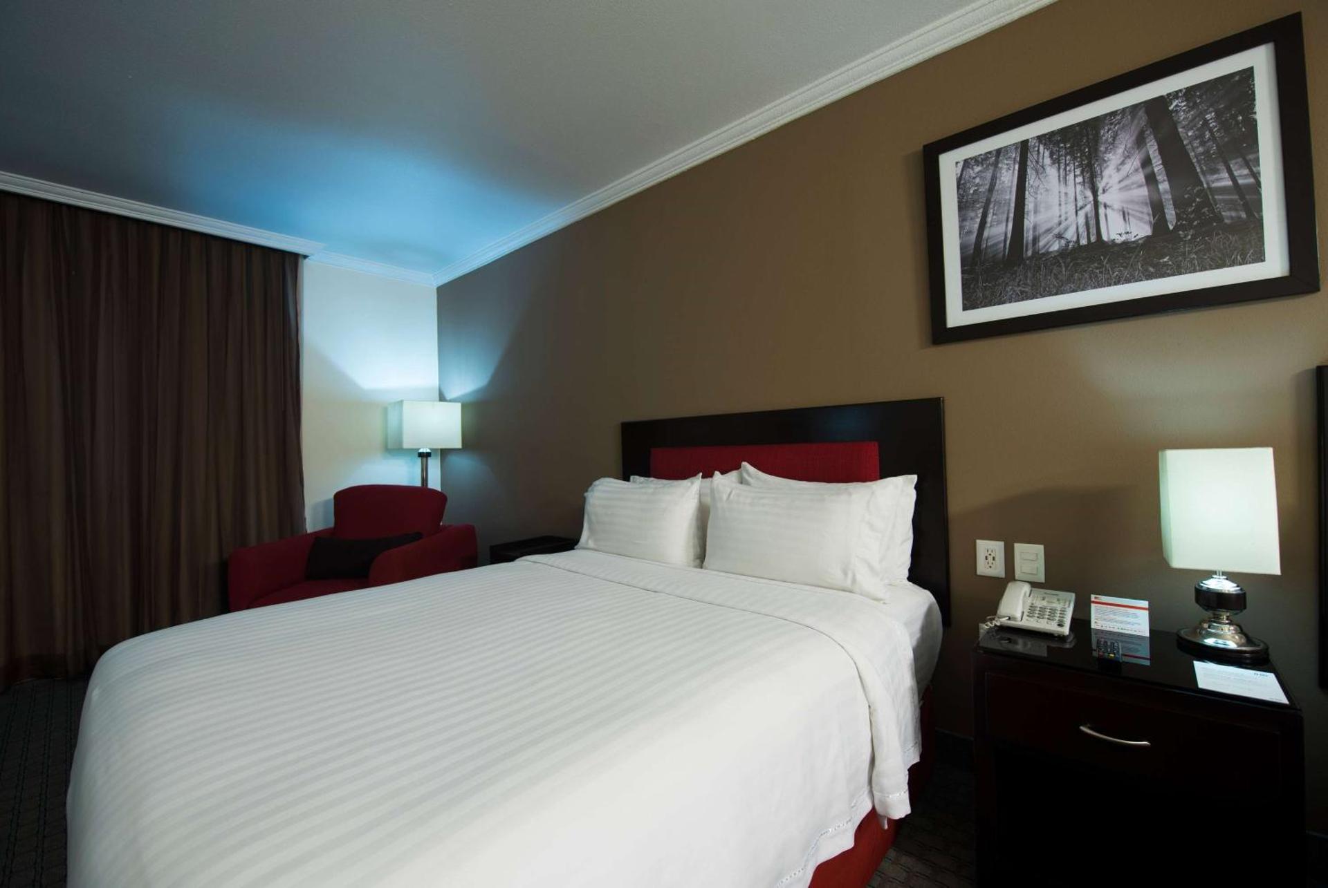 Ramada by Wyndham Ciudad de México Perinorte - Photo 14