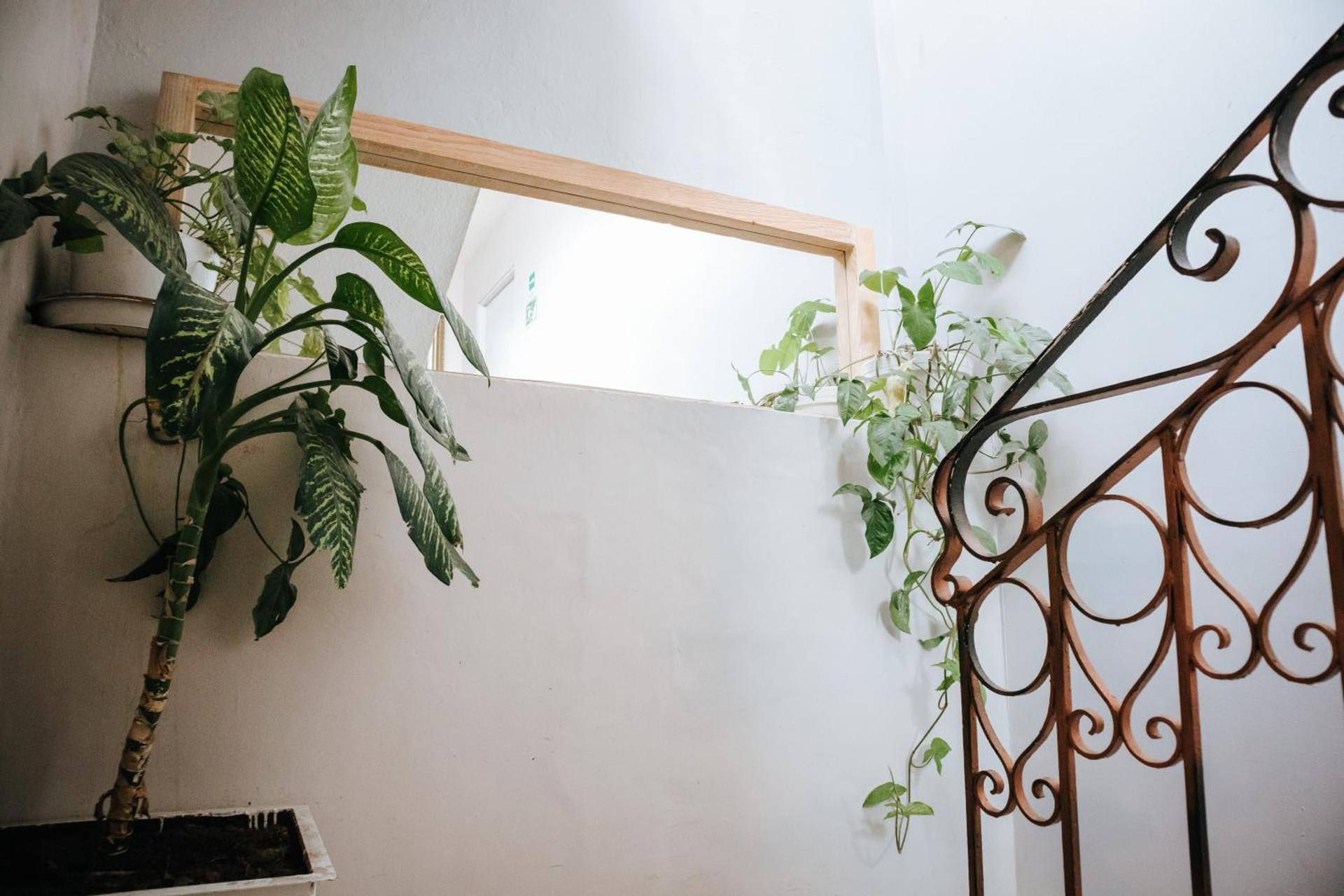 Hotel Del Portal San Miguel de Allende - Photo 21