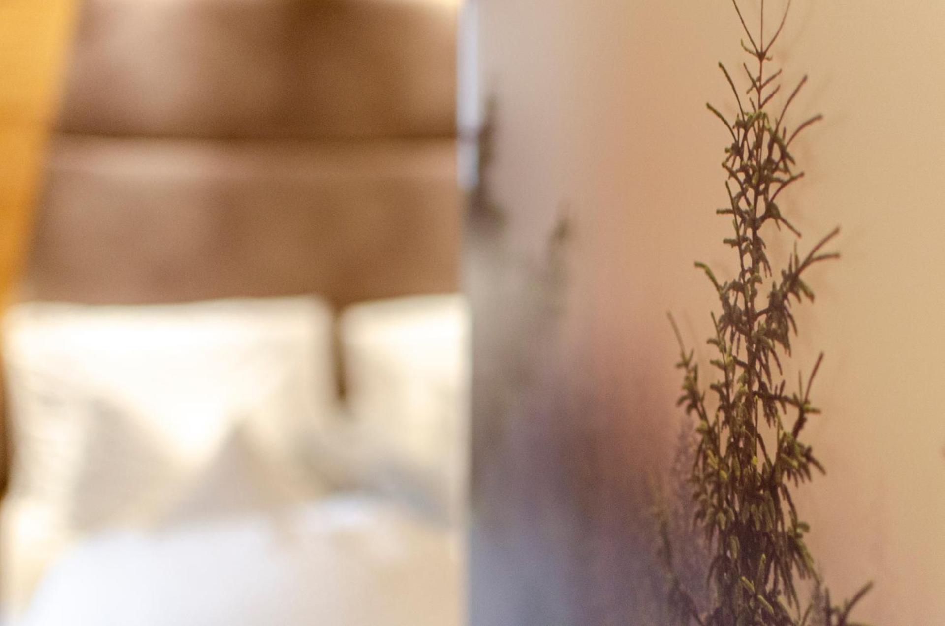 Hotel Faloria - Photo 34