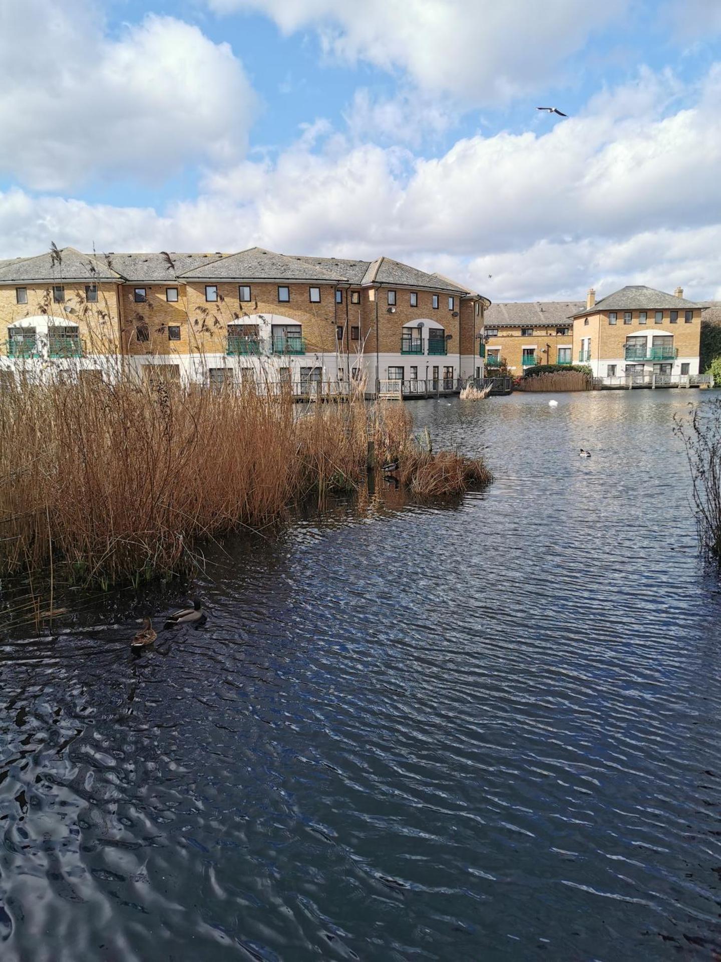Riverside 3BR with Easy Transport 20mins to City Centre - Photo 52