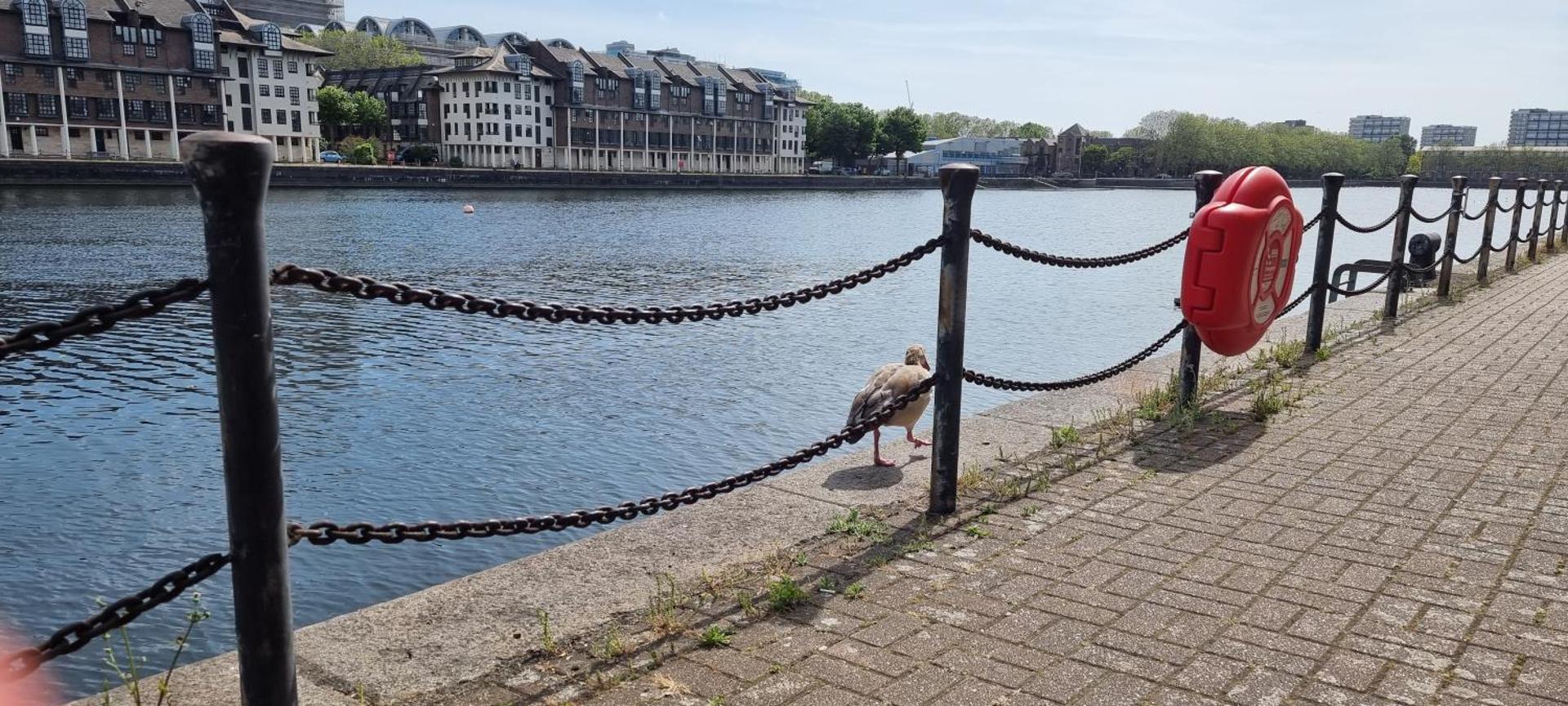 Riverside 3BR with Easy Transport 20mins to City Centre - Photo 67