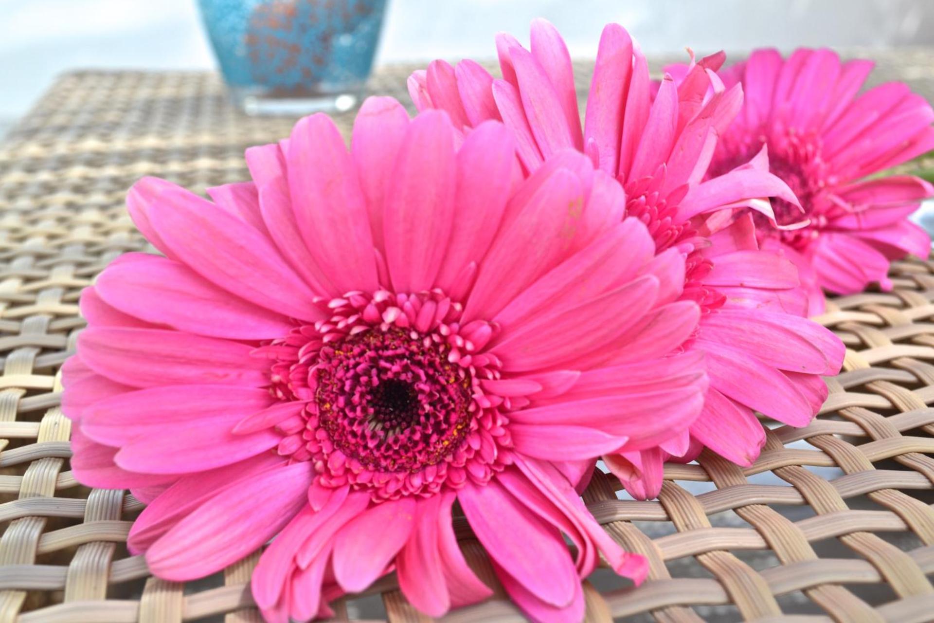 Aegean of Amorgos - Photo 21