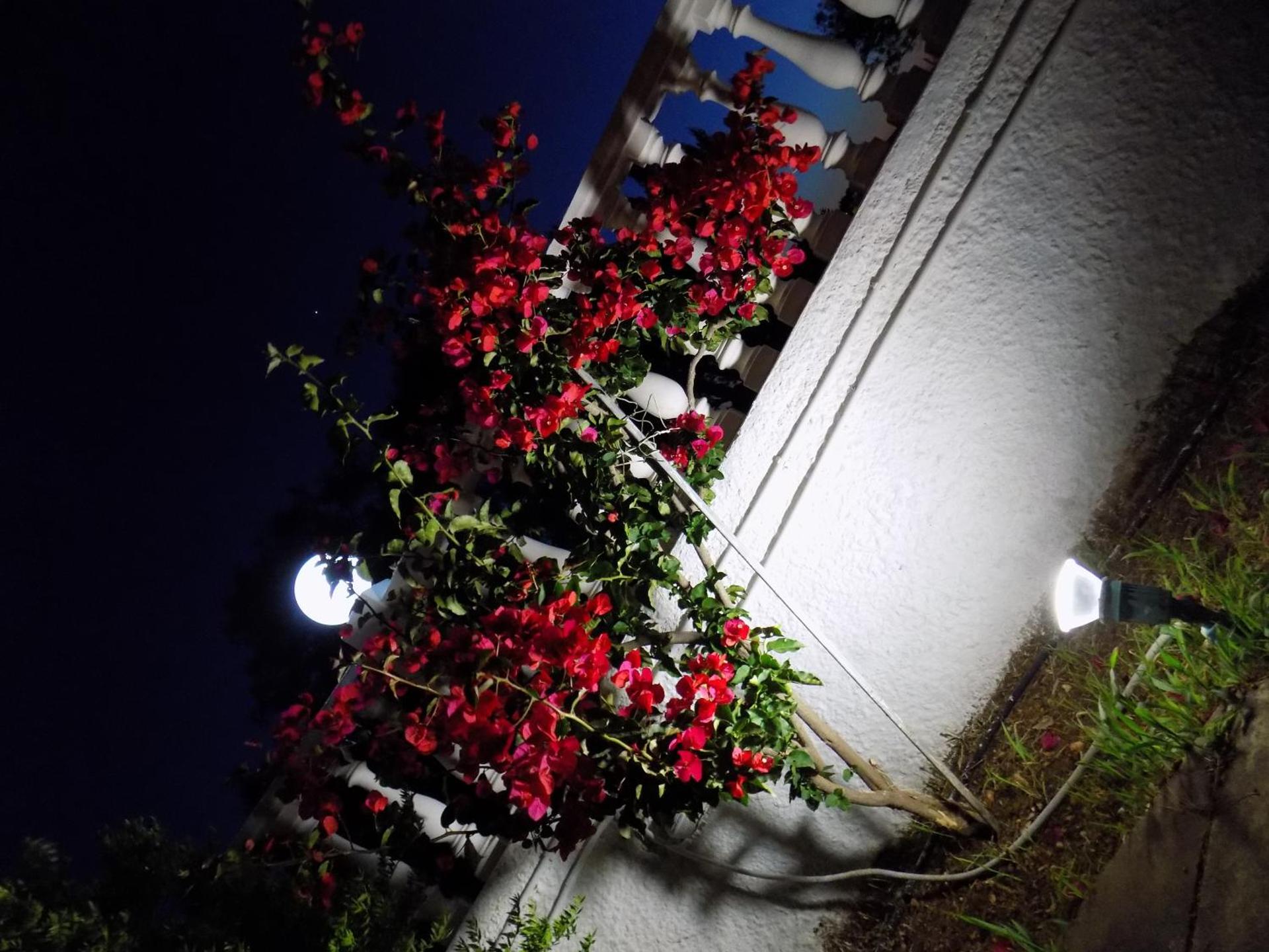 Galaxy Hotel - Photo 43