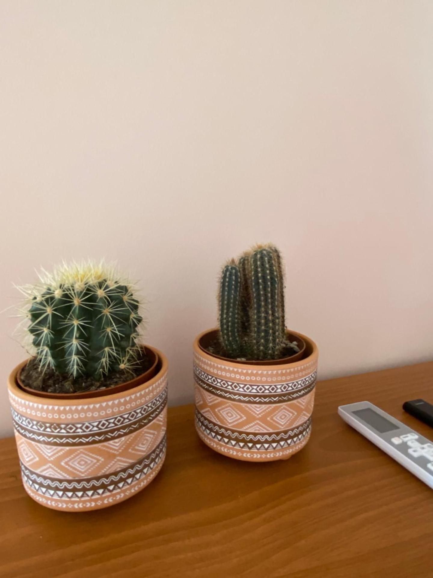 Paradise Studios - Photo 103