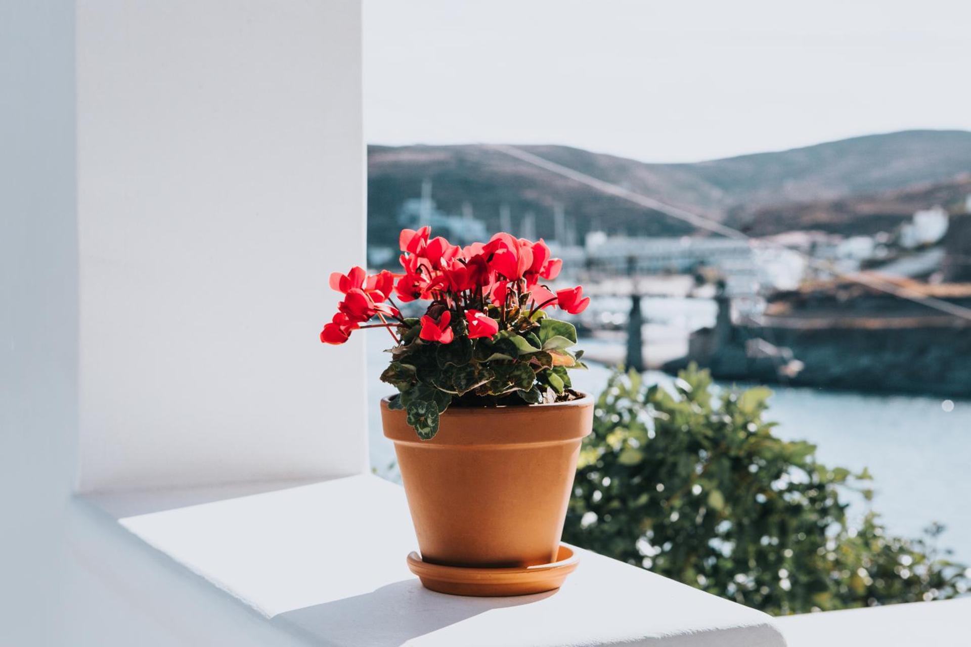 Fos Suites - Photo 65