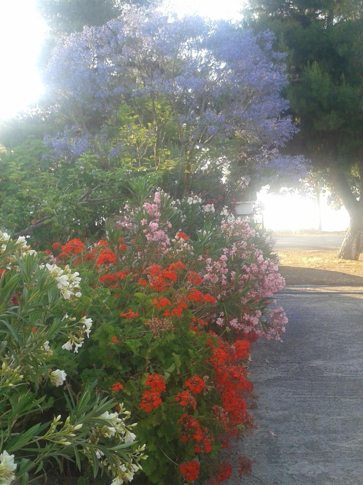 Elea Guesthouse - Photo 28