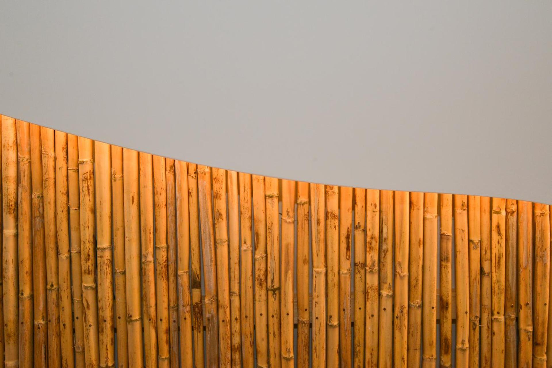 Mylopetra Milos Suites - Photo 4