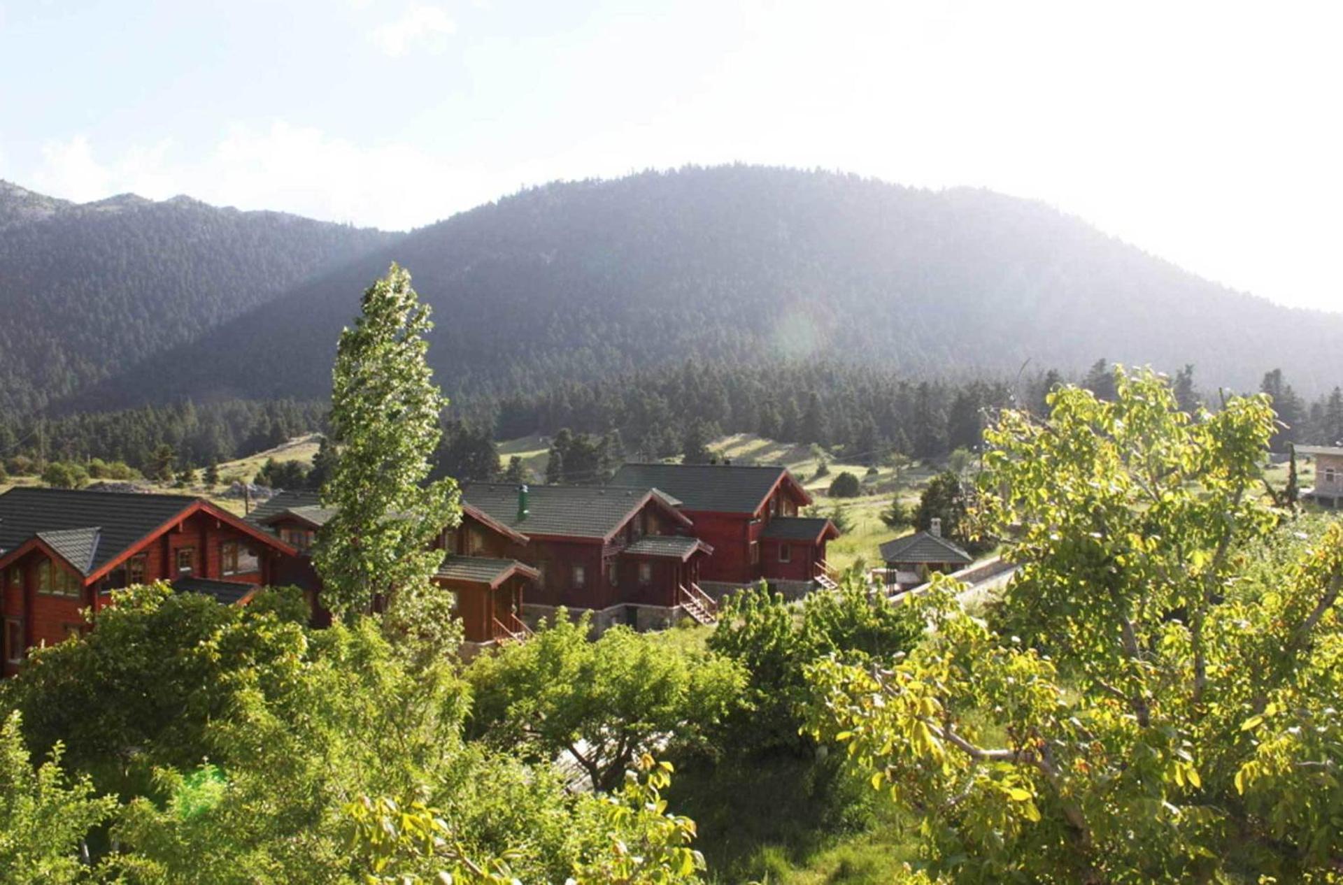 Boutique Hotel Skamnos Arachova - Photo 126