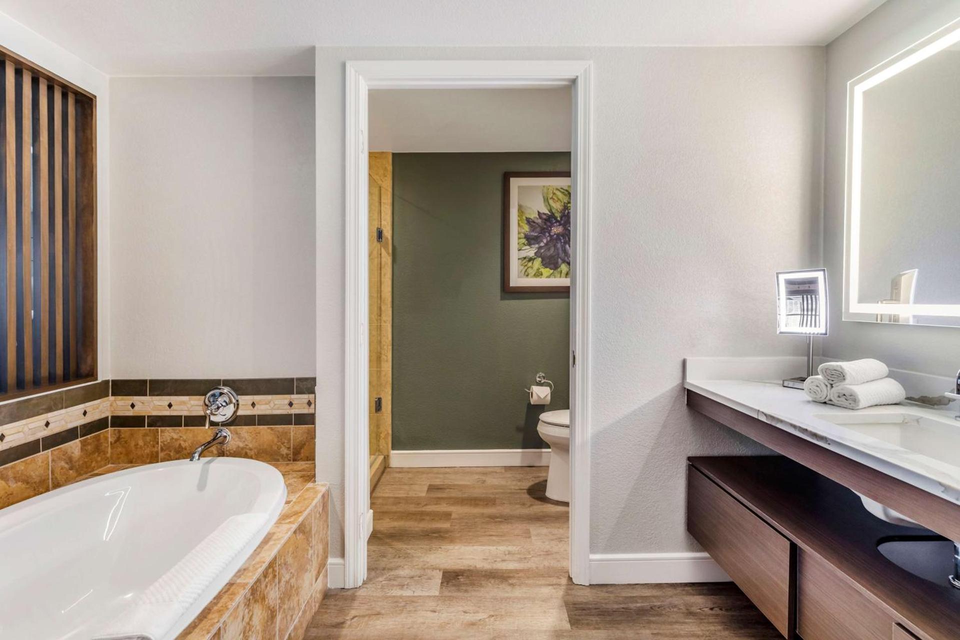 Hilton Grand Vacations Club Flamingo Las Vegas - Photo 12