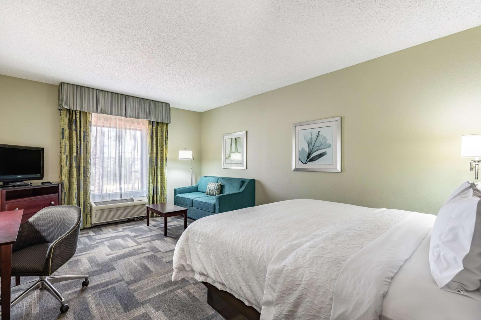Hampton Inn & Suites Orlando-South Lake Buena Vista - Photo 30