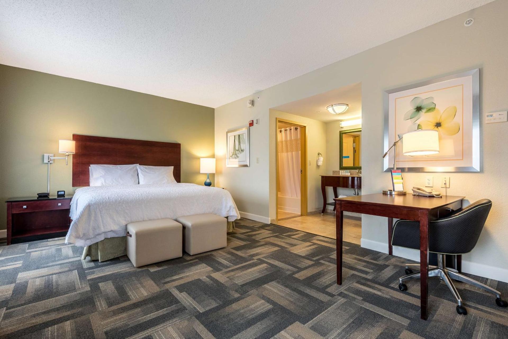 Hampton Inn & Suites Orlando-South Lake Buena Vista - Photo 26