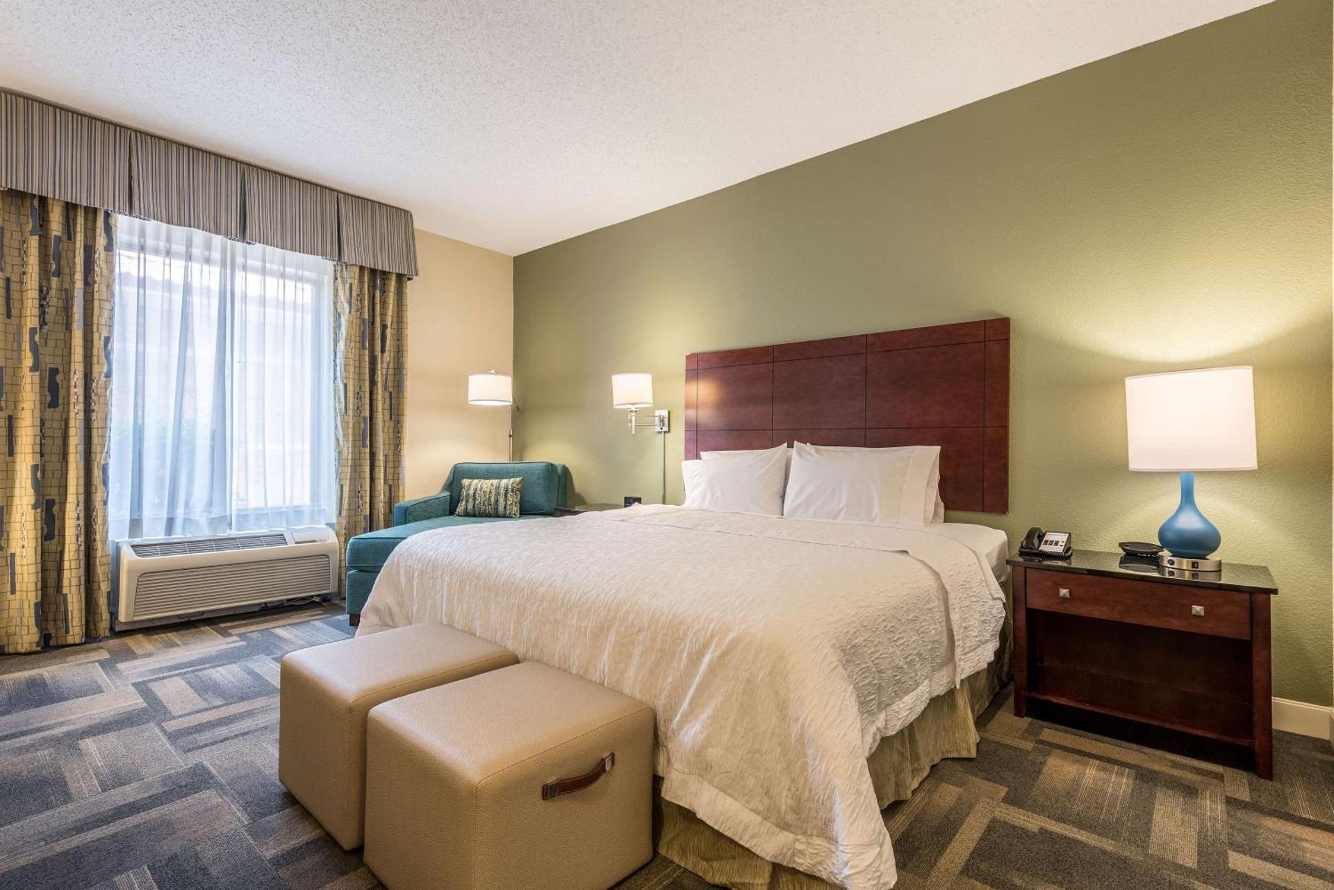 Hampton Inn & Suites Orlando-South Lake Buena Vista - Photo 10