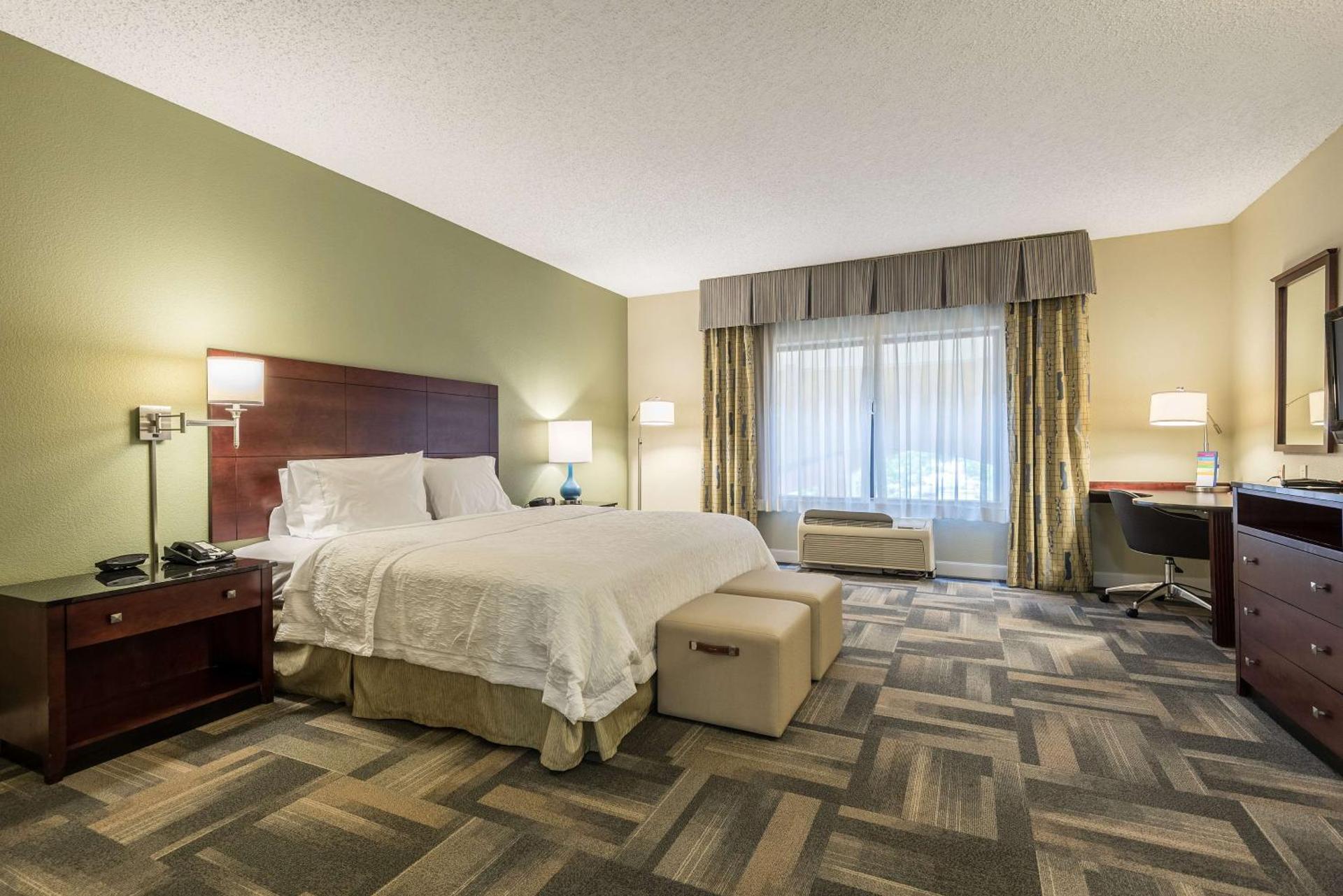Hampton Inn & Suites Orlando-South Lake Buena Vista - Photo 12
