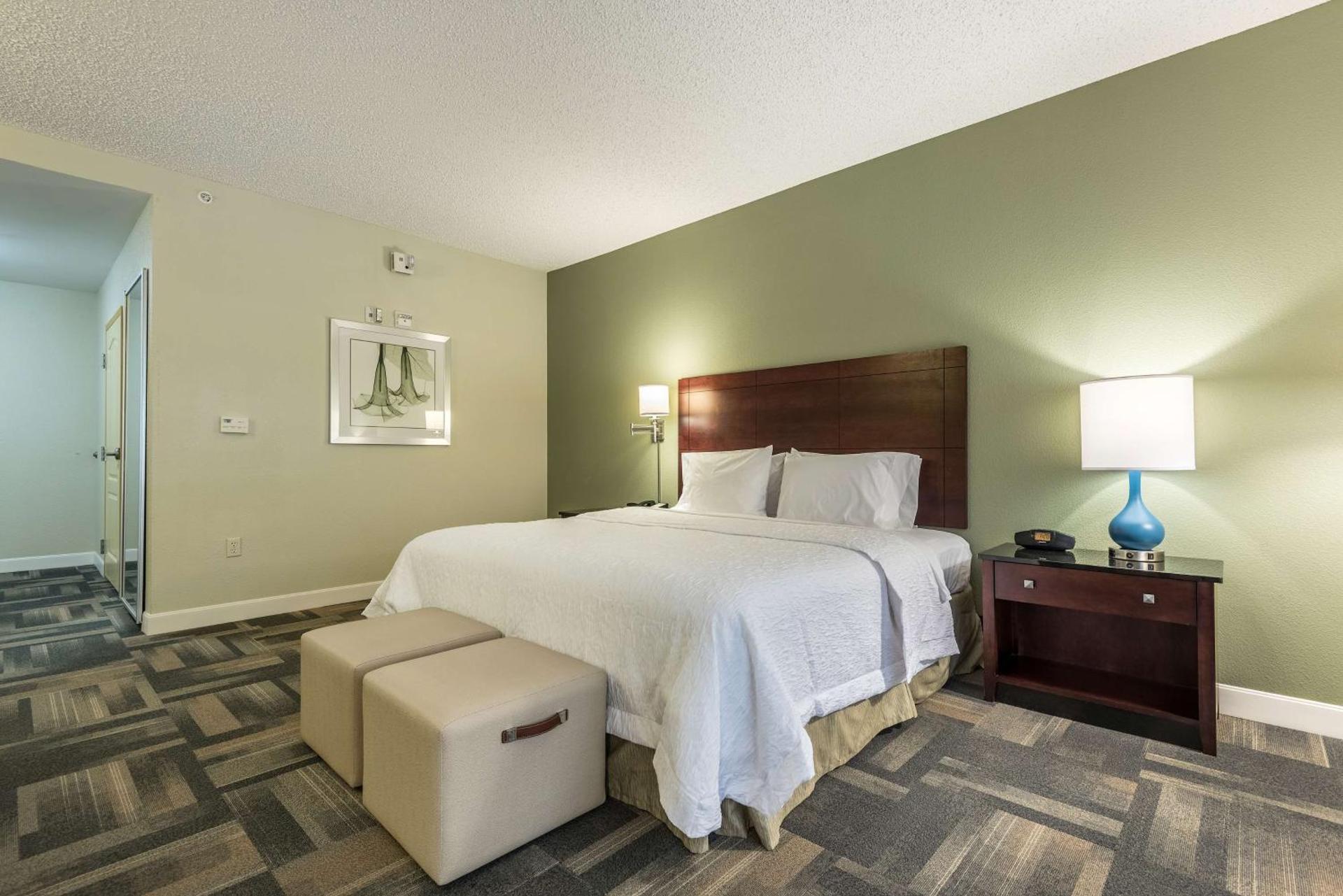 Hampton Inn & Suites Orlando-South Lake Buena Vista - Photo 15