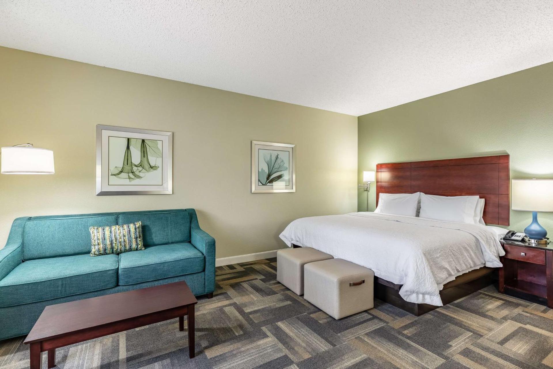 Hampton Inn & Suites Orlando-South Lake Buena Vista - Photo 31