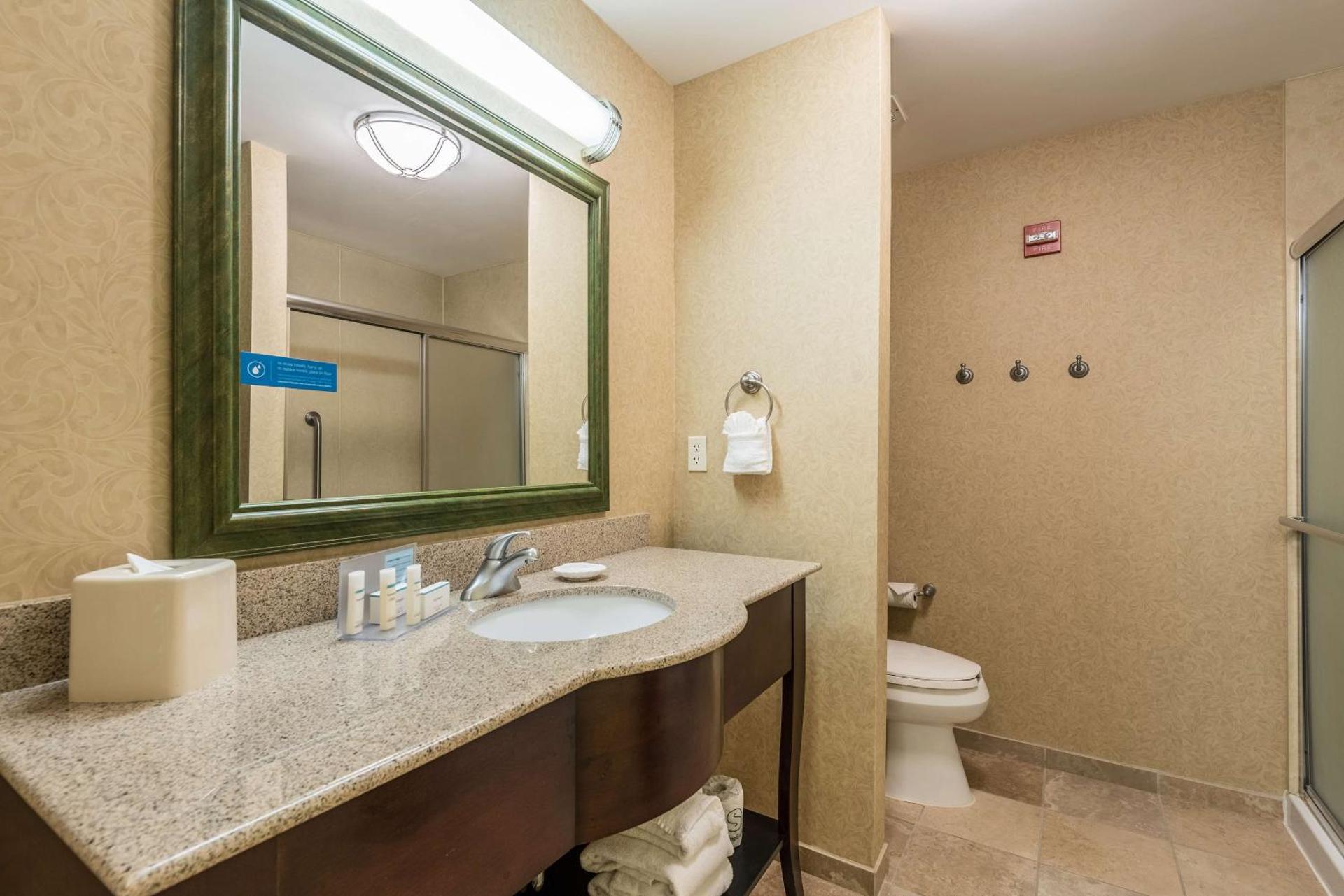 Hampton Inn & Suites Orlando-South Lake Buena Vista - Photo 32