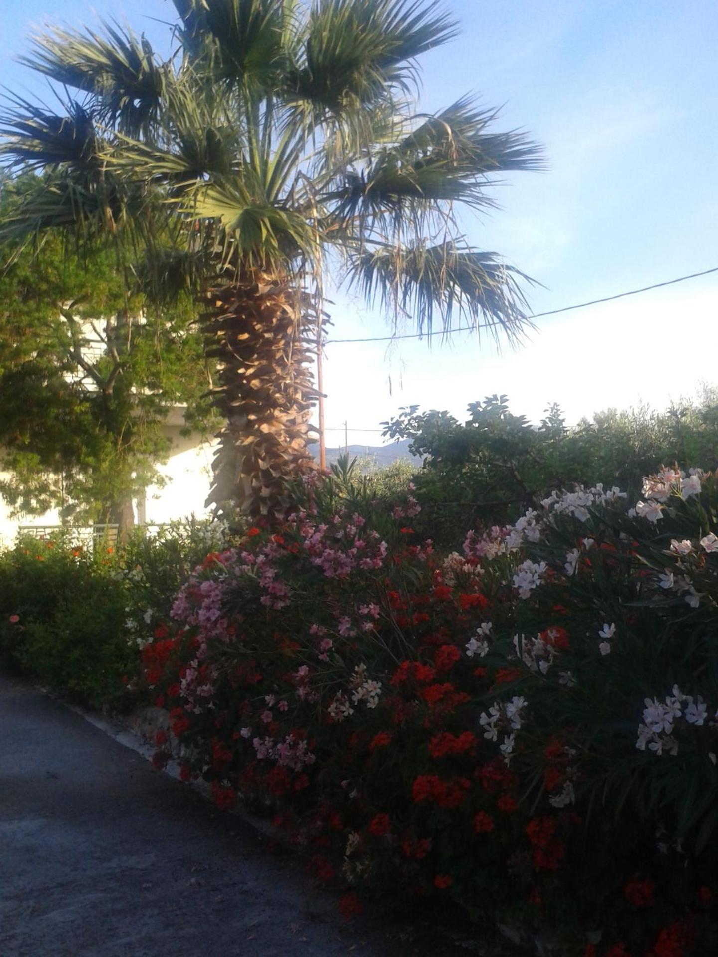 Elea Guesthouse - Photo 29