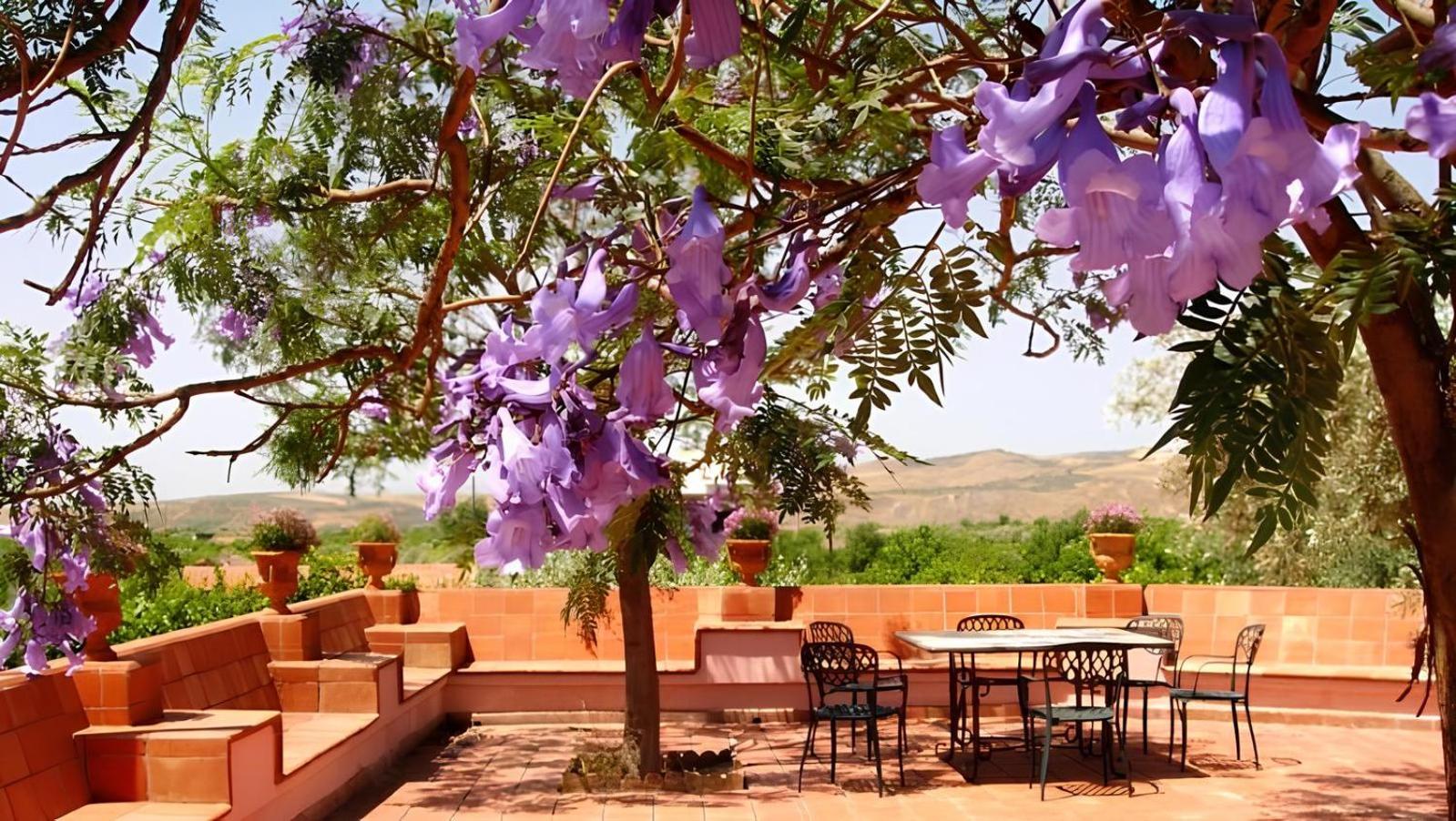 Agriturismo Gianferrante - Photo 65