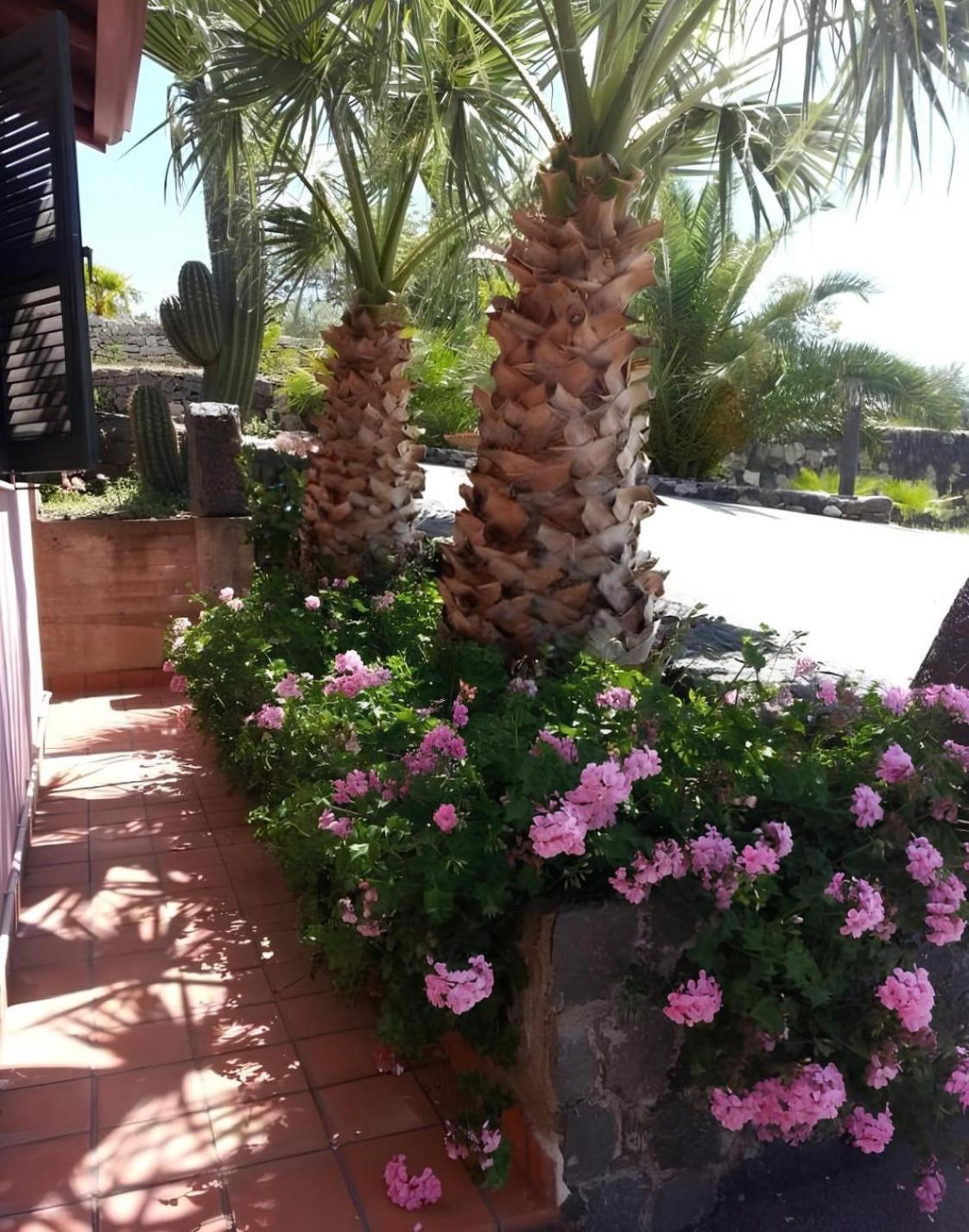 Agriturismo Gianferrante - Photo 66