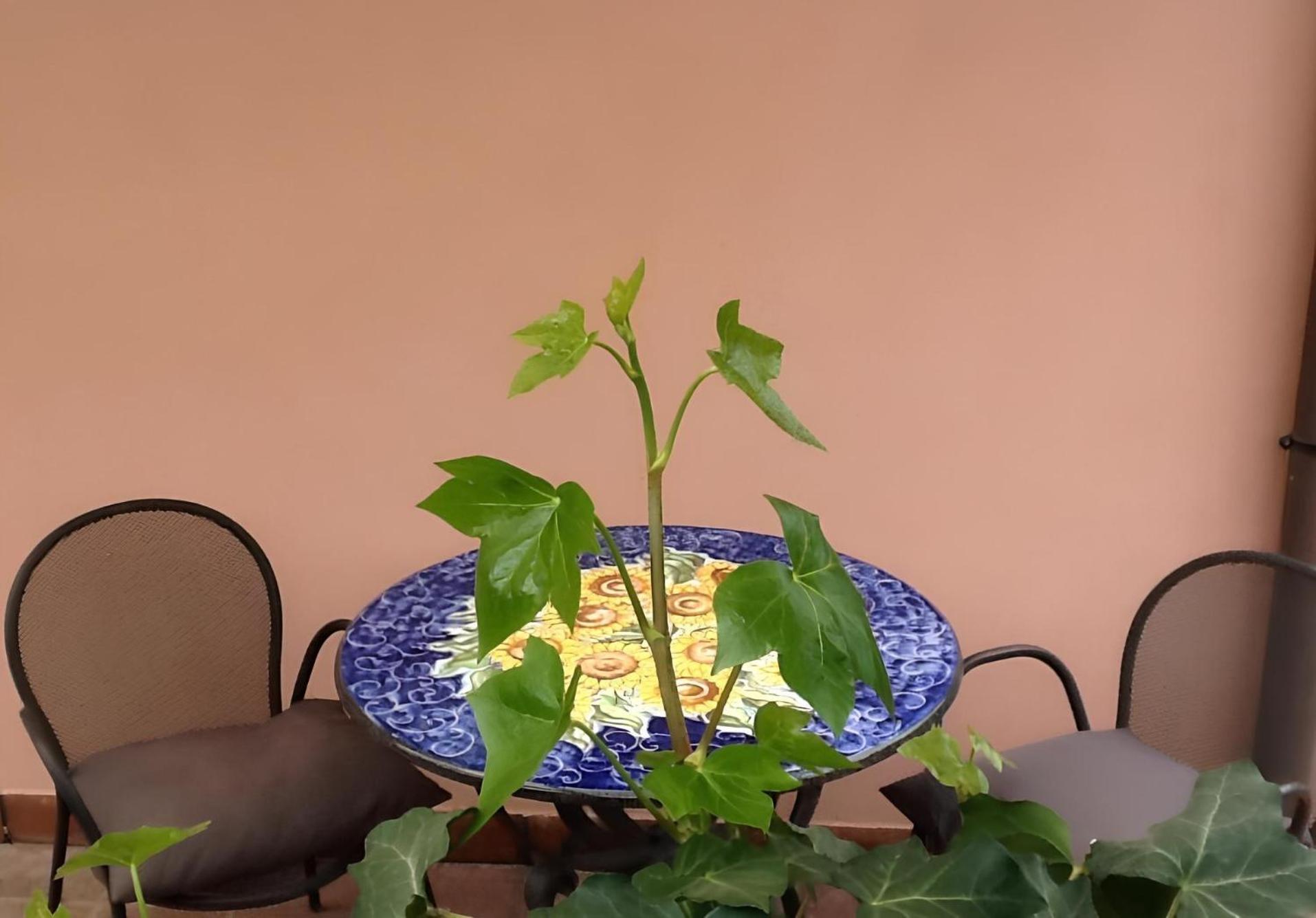 Agriturismo Gianferrante - Photo 28