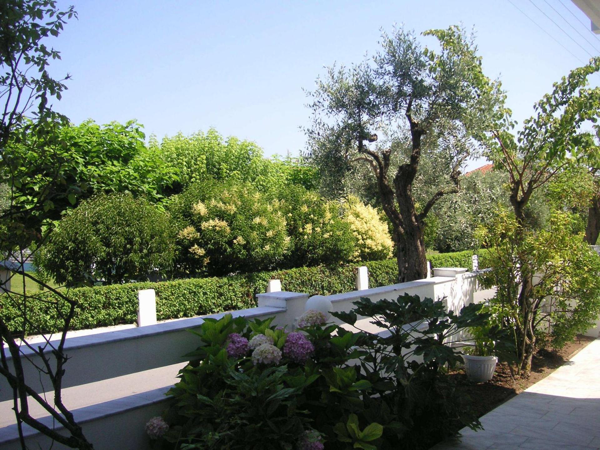 Danae Hotel - Photo 18