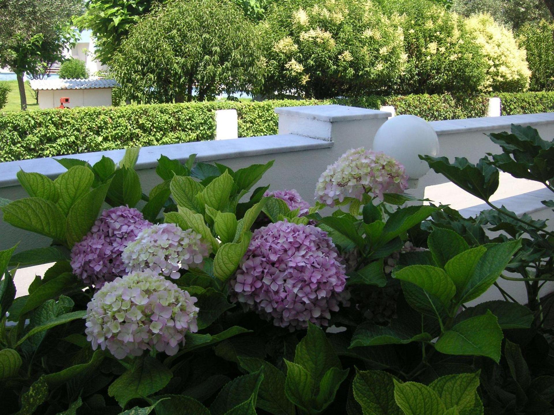 Danae Hotel - Photo 20