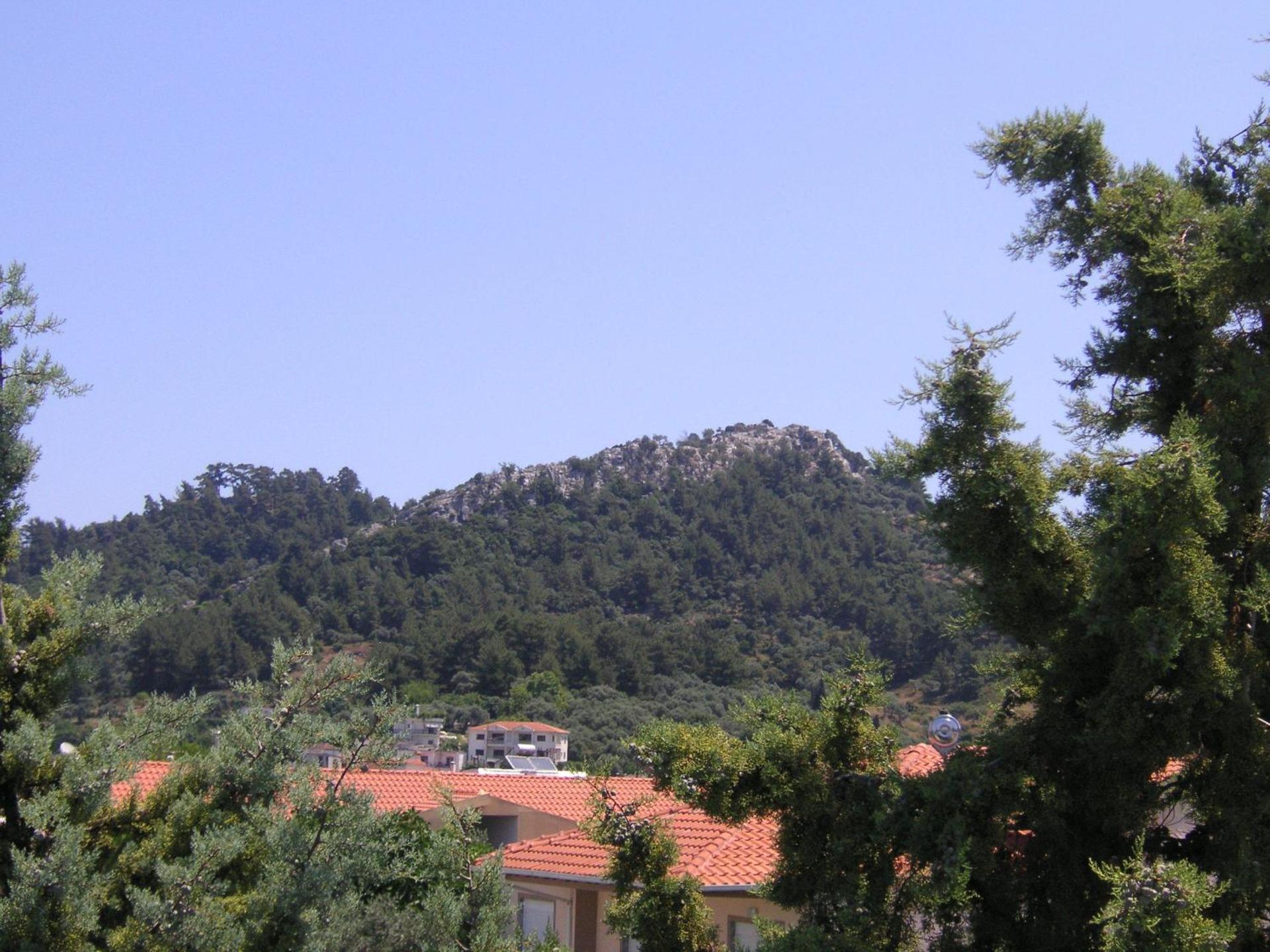 Danae Hotel - Photo 33
