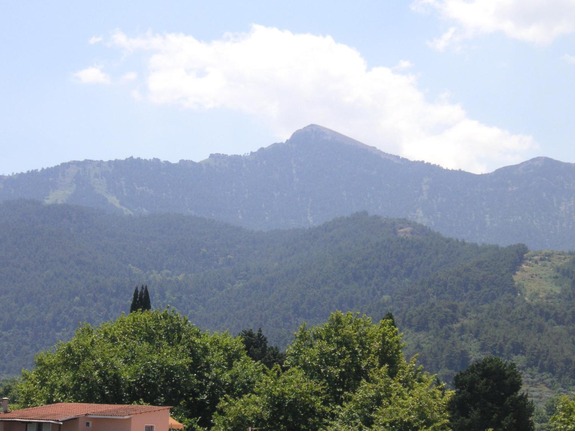 Danae Hotel - Photo 34