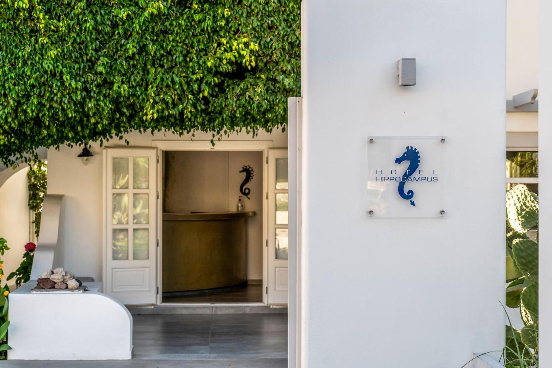 Hippocampus Hotel - Photo 28