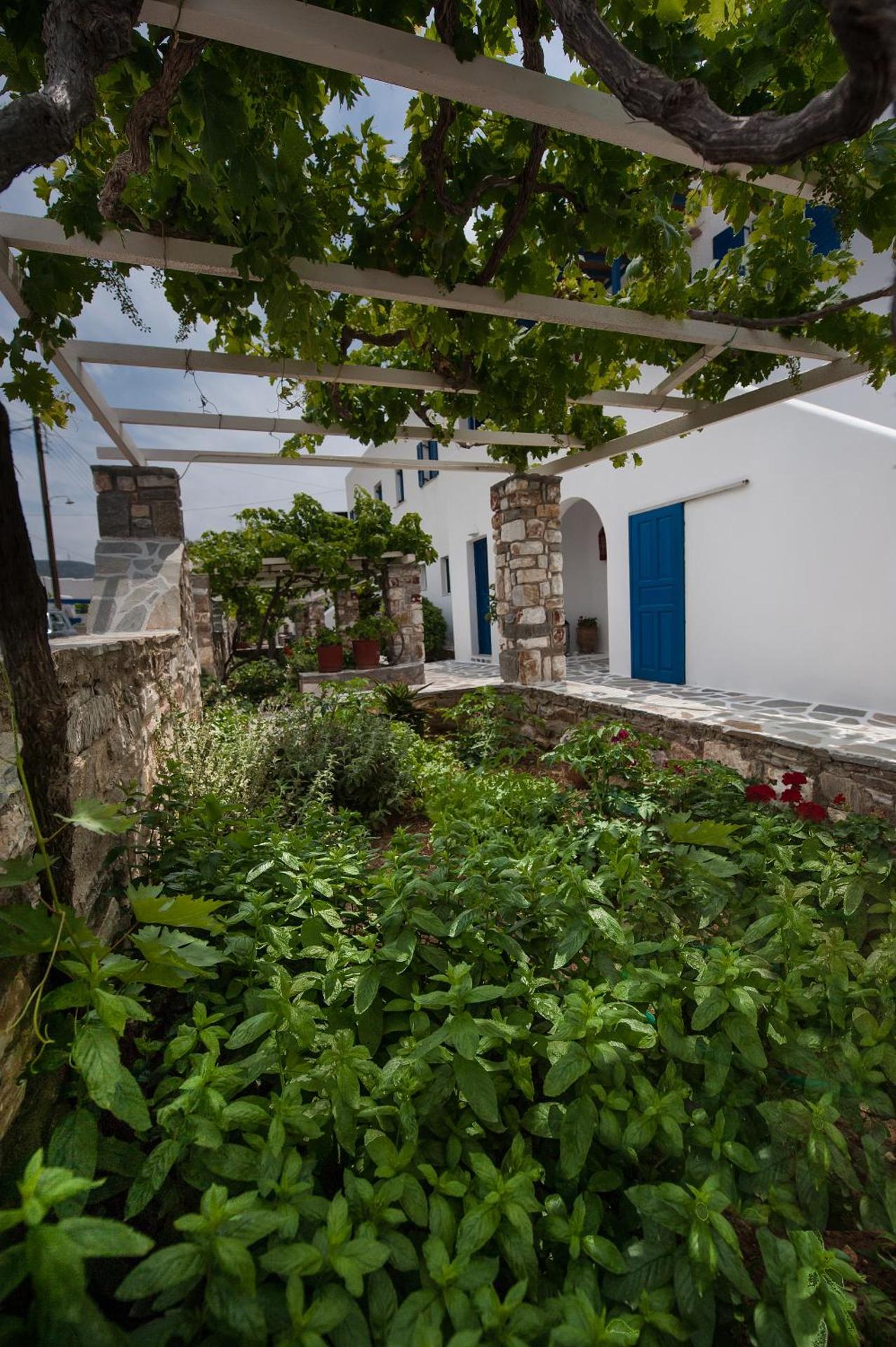 Anixis Studios Aliki Paros - Photo 130