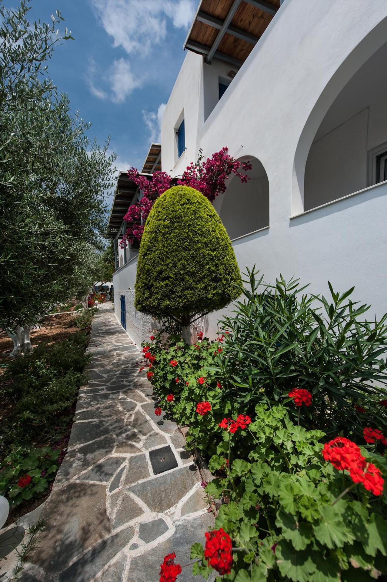 Anixis Studios Aliki Paros - Photo 126