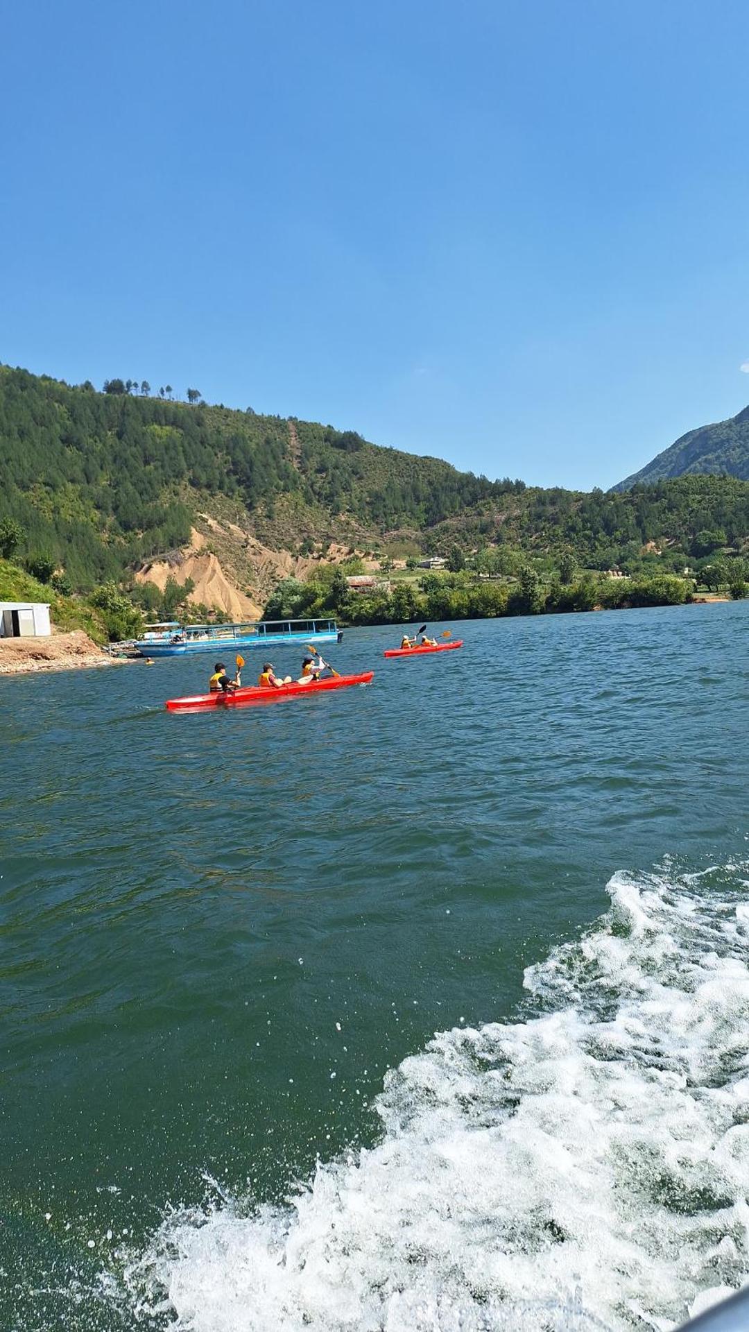 5 Stinet - Photo 112