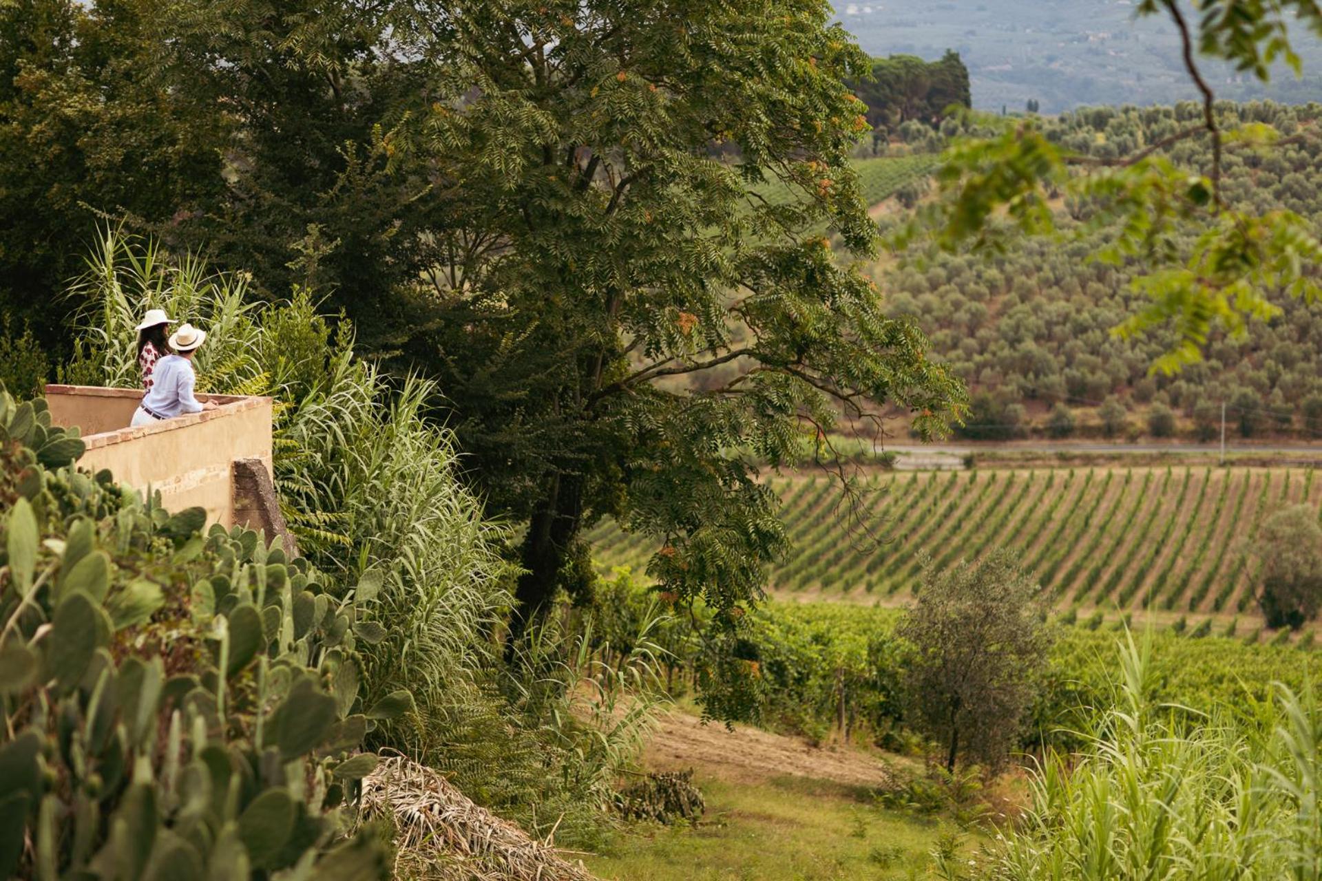 Boutique Wine Resort - Villa Dianella - Photo 55