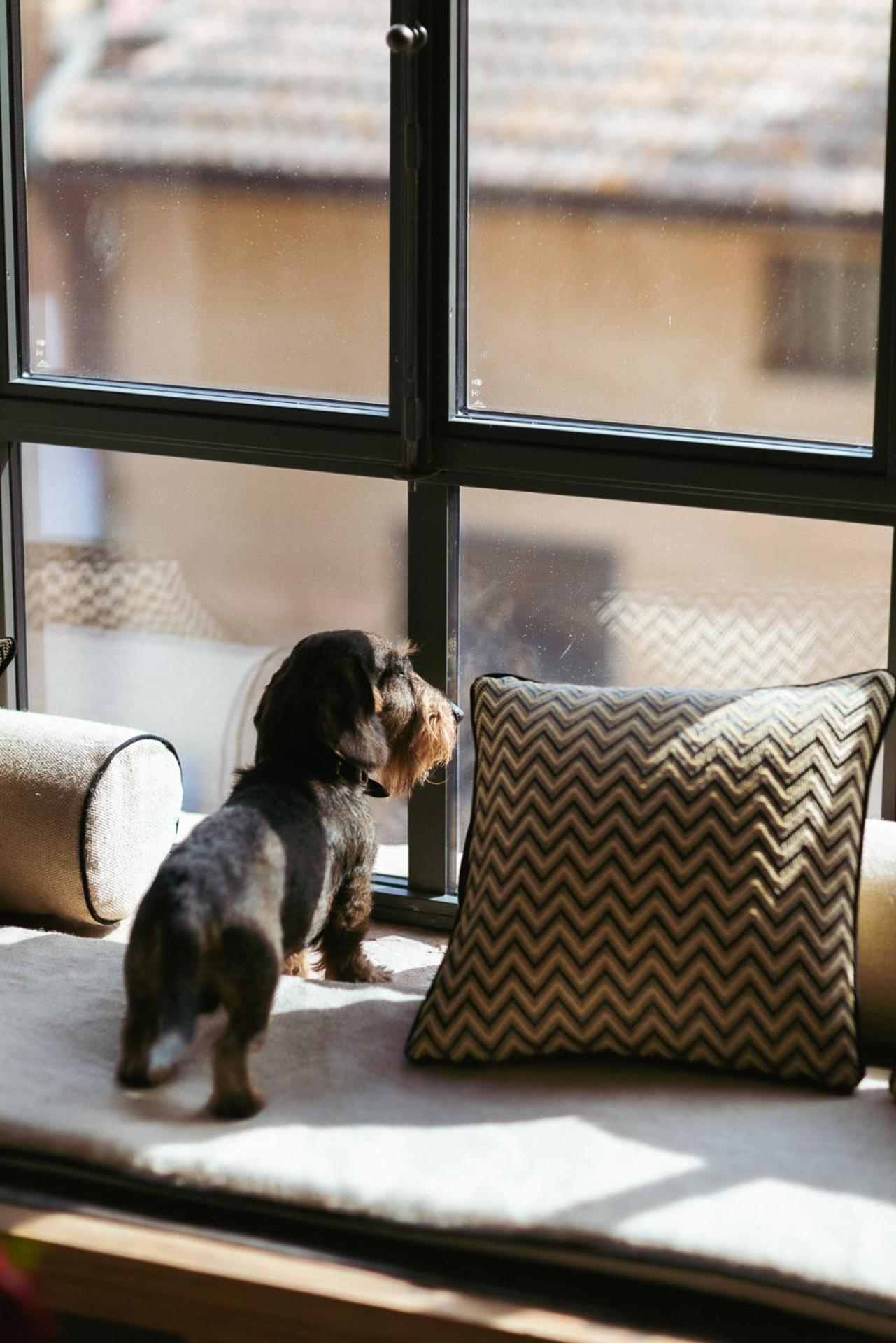 Boutique Wine Resort - Villa Dianella - Photo 3