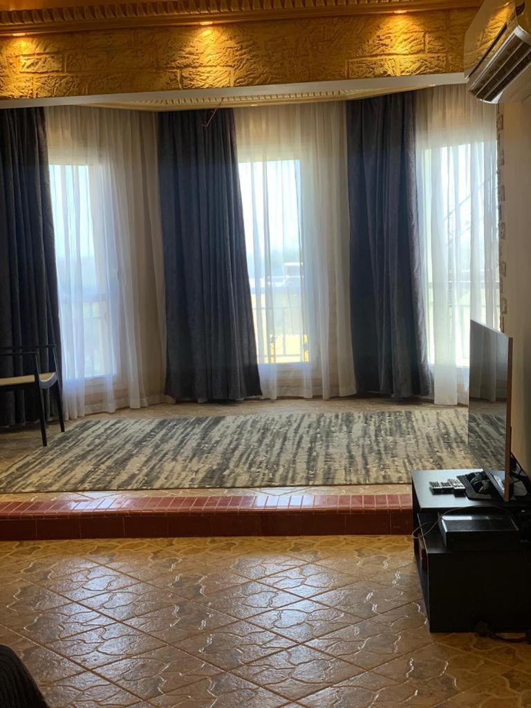 Dreamland - Emerald - Photo 8