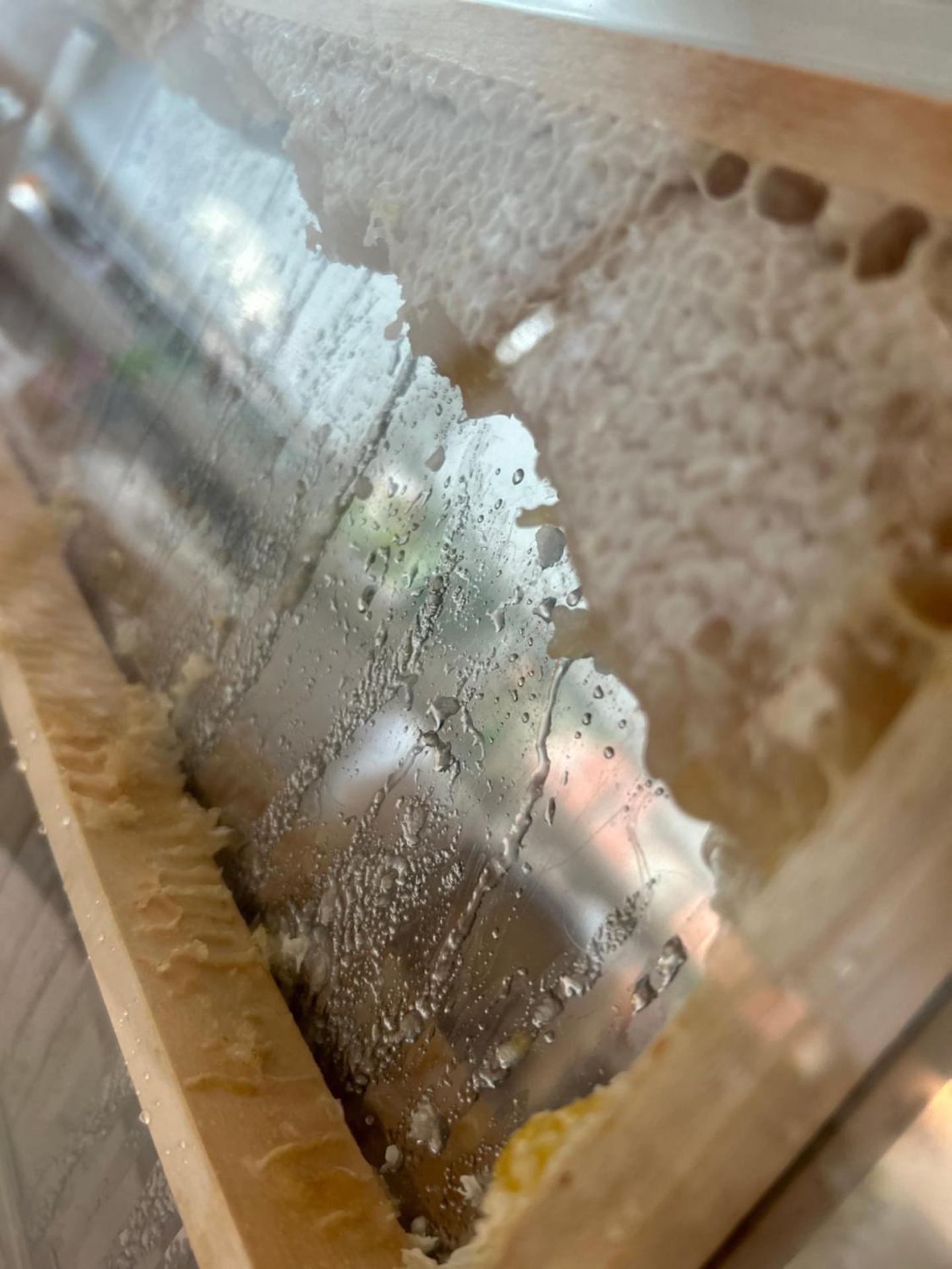 Hotel Mirafiori - Photo 32