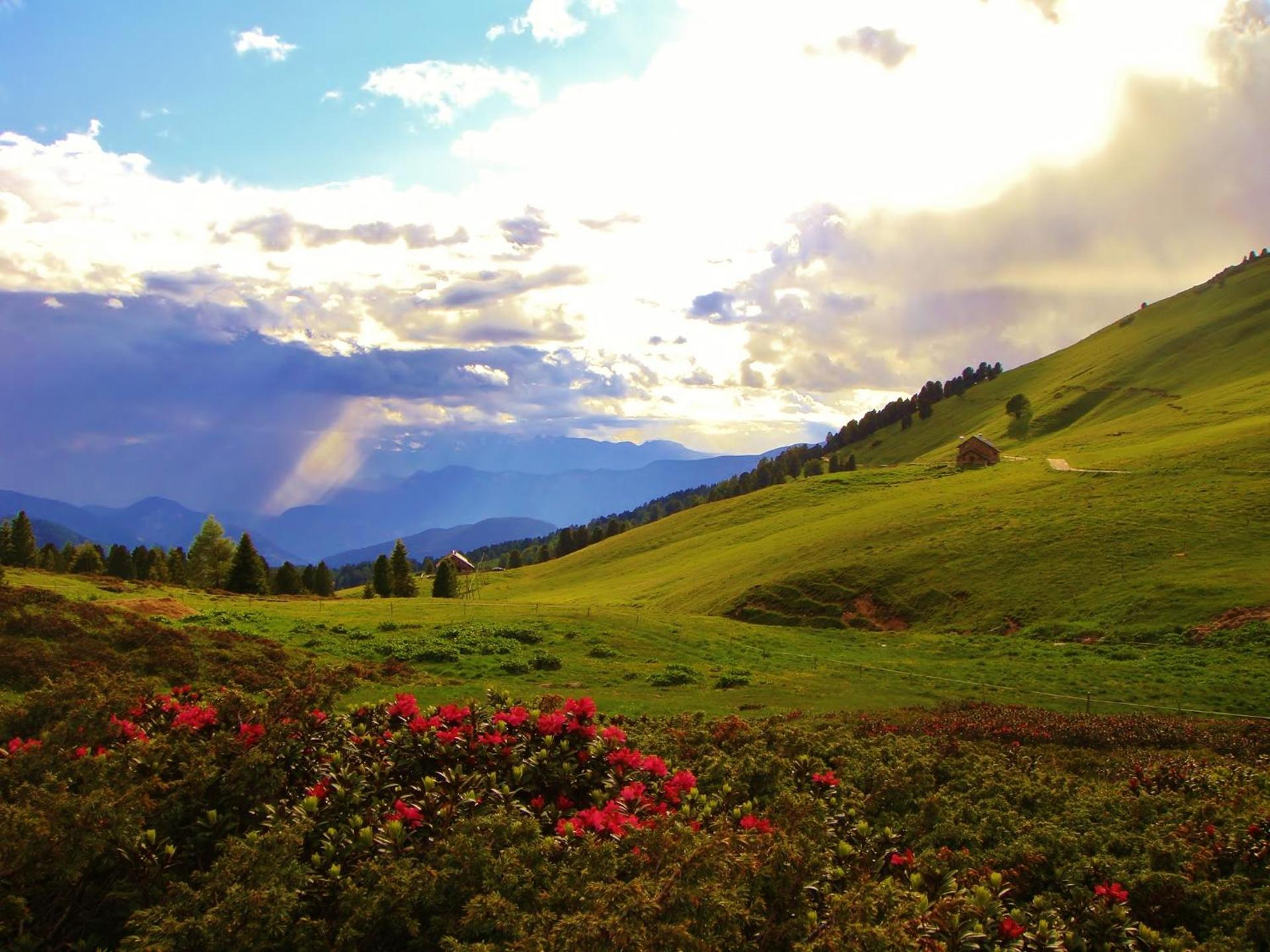 Berghotel Jochgrimm - Your Dolomites Home - Photo 104
