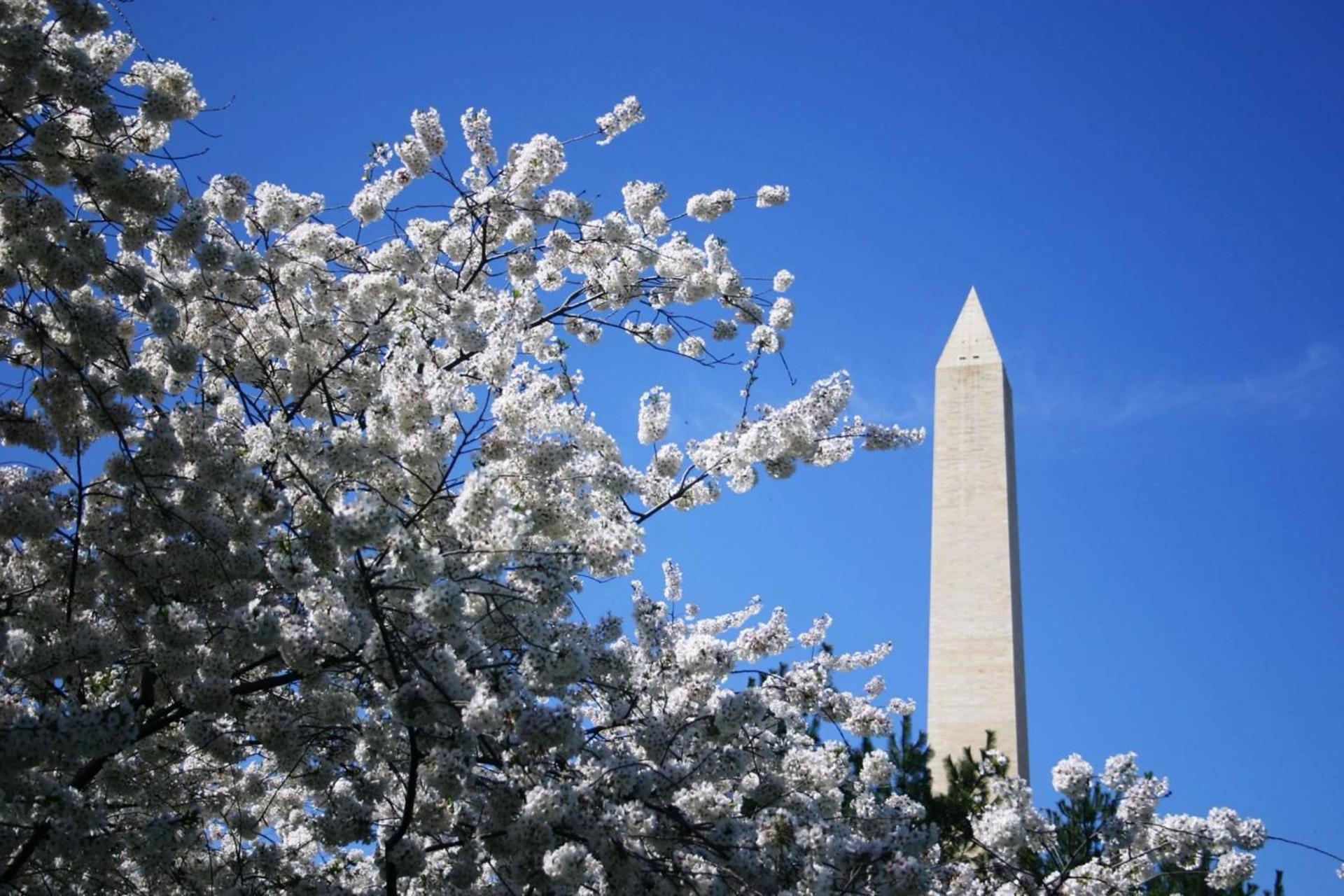 Embassy Suites by Hilton Washington DC Chevy Chase Pavilion - Photo 52