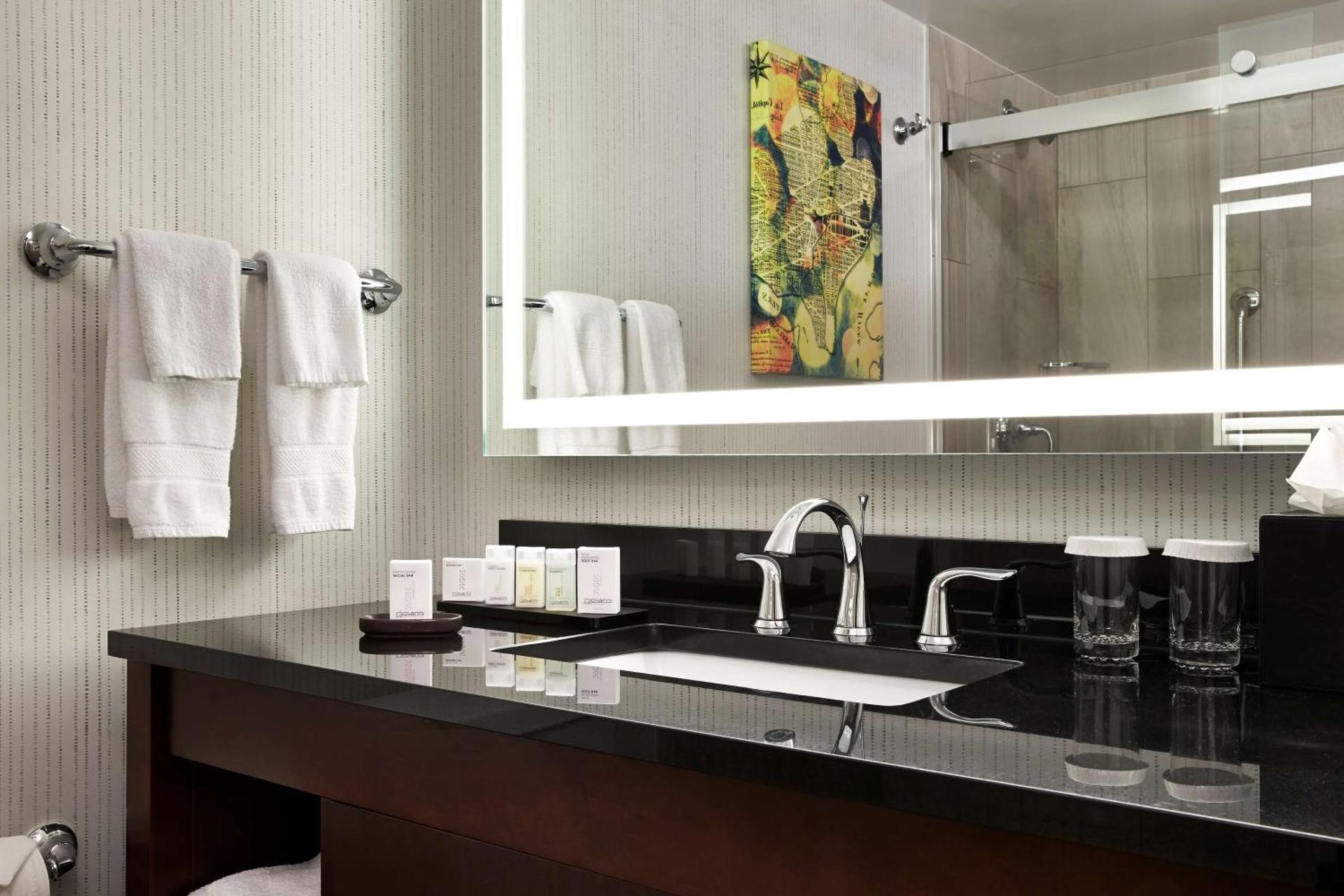 Embassy Suites by Hilton Washington DC Chevy Chase Pavilion - Photo 40