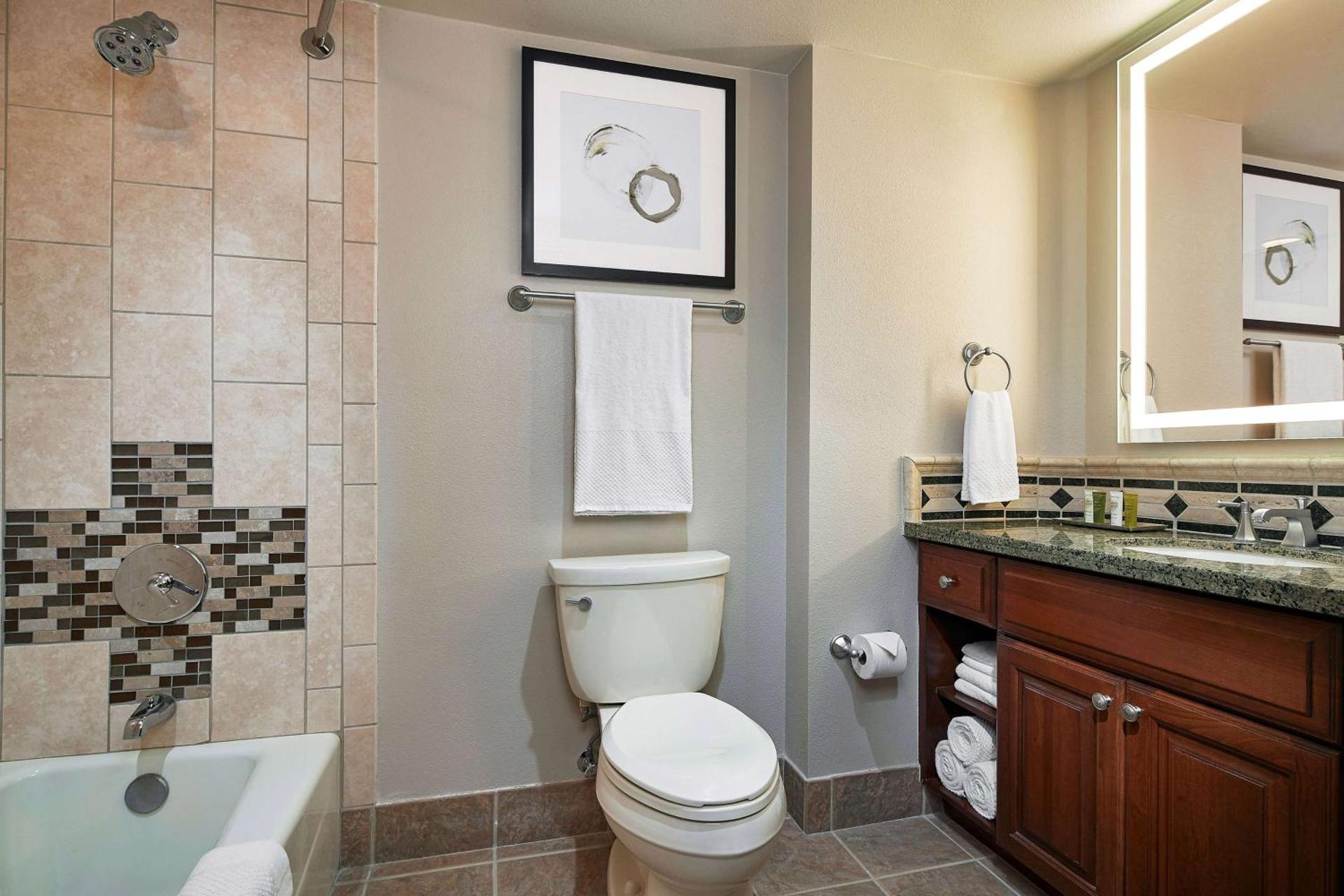 Hilton Grand Vacations Club on the Las Vegas Strip - Photo 12