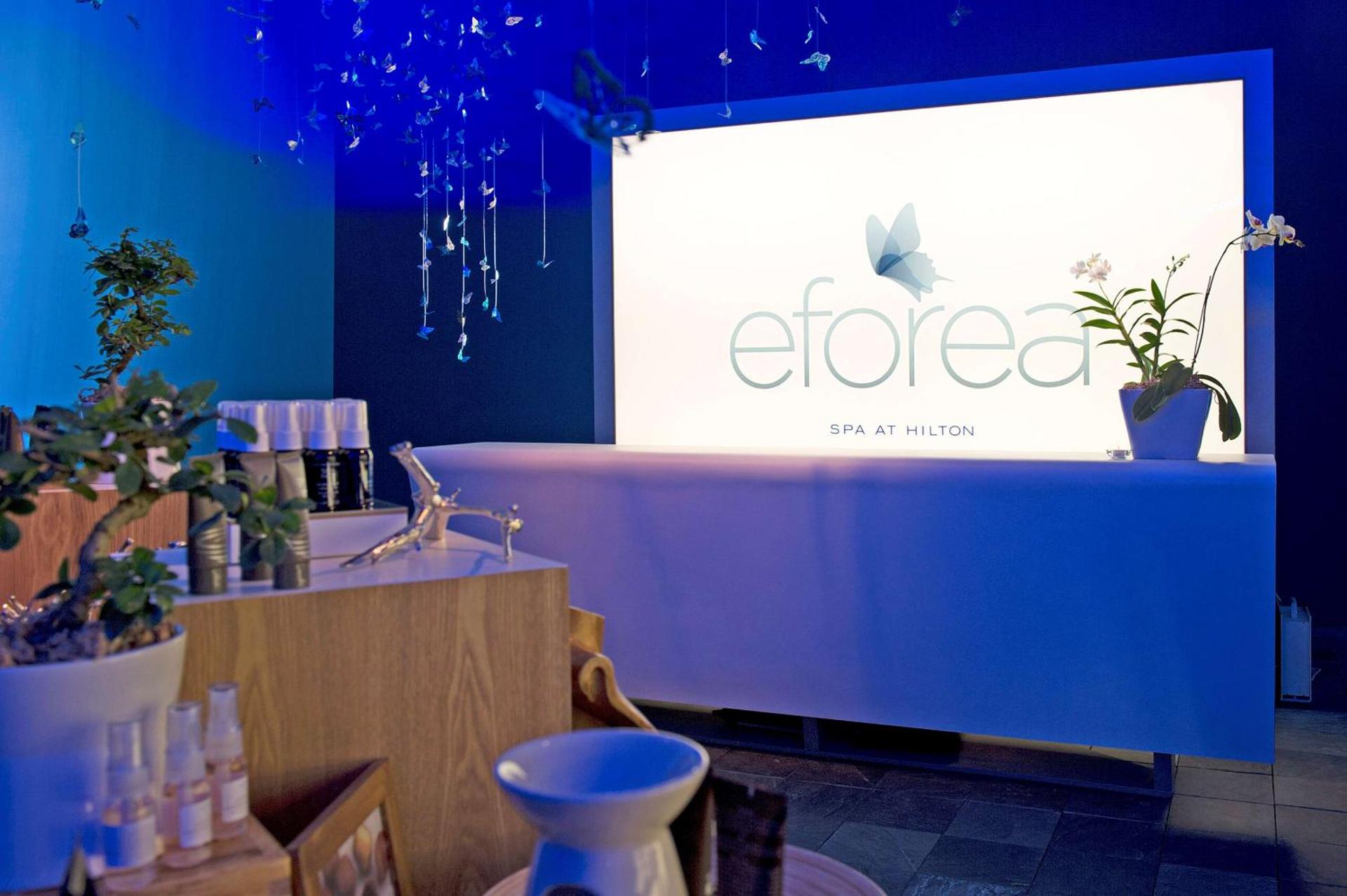 Hilton Grand Vacations Club on the Las Vegas Strip - Photo 34