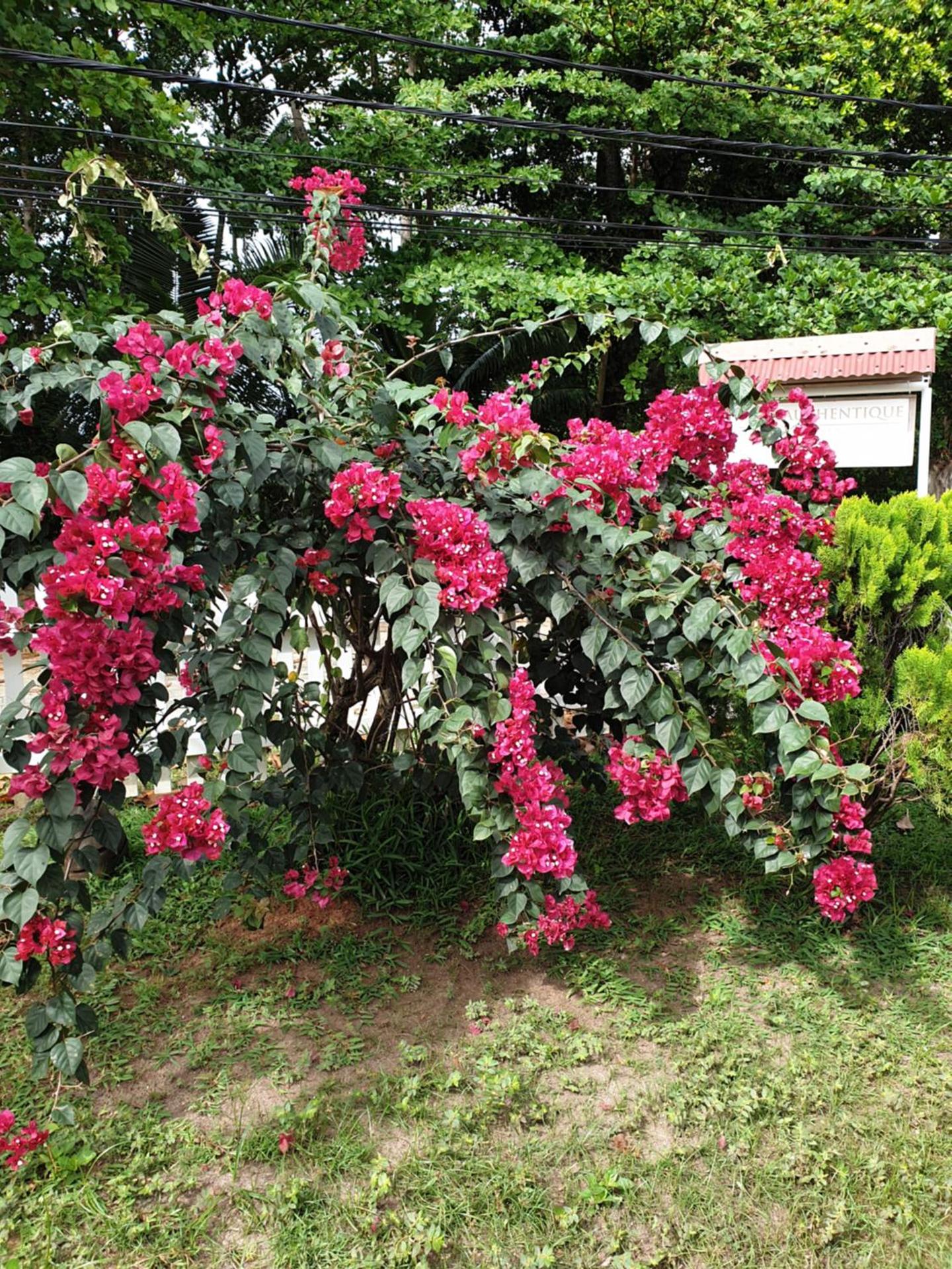 Villa Authentique - Photo 73