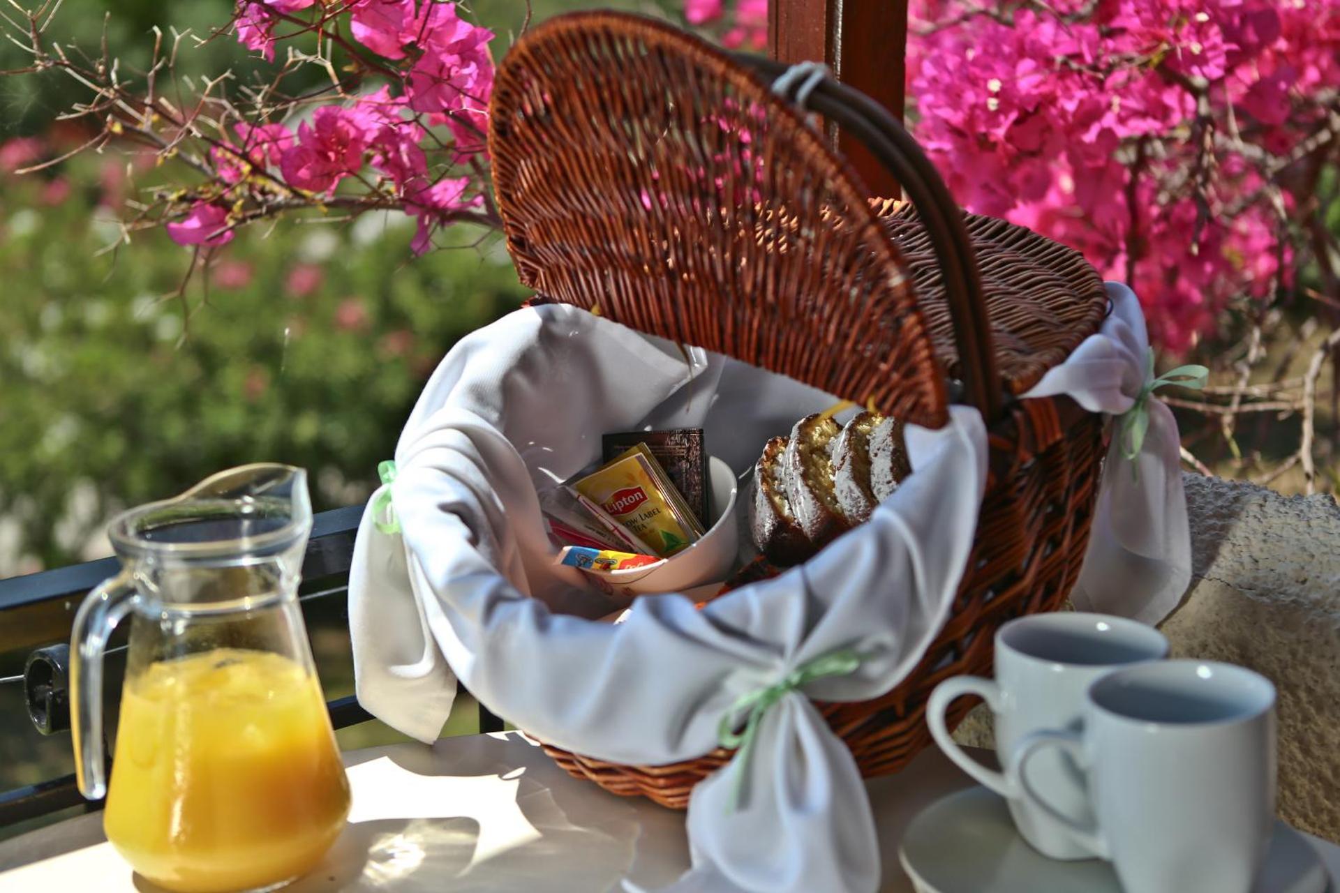 Dendrolivano - Photo 2