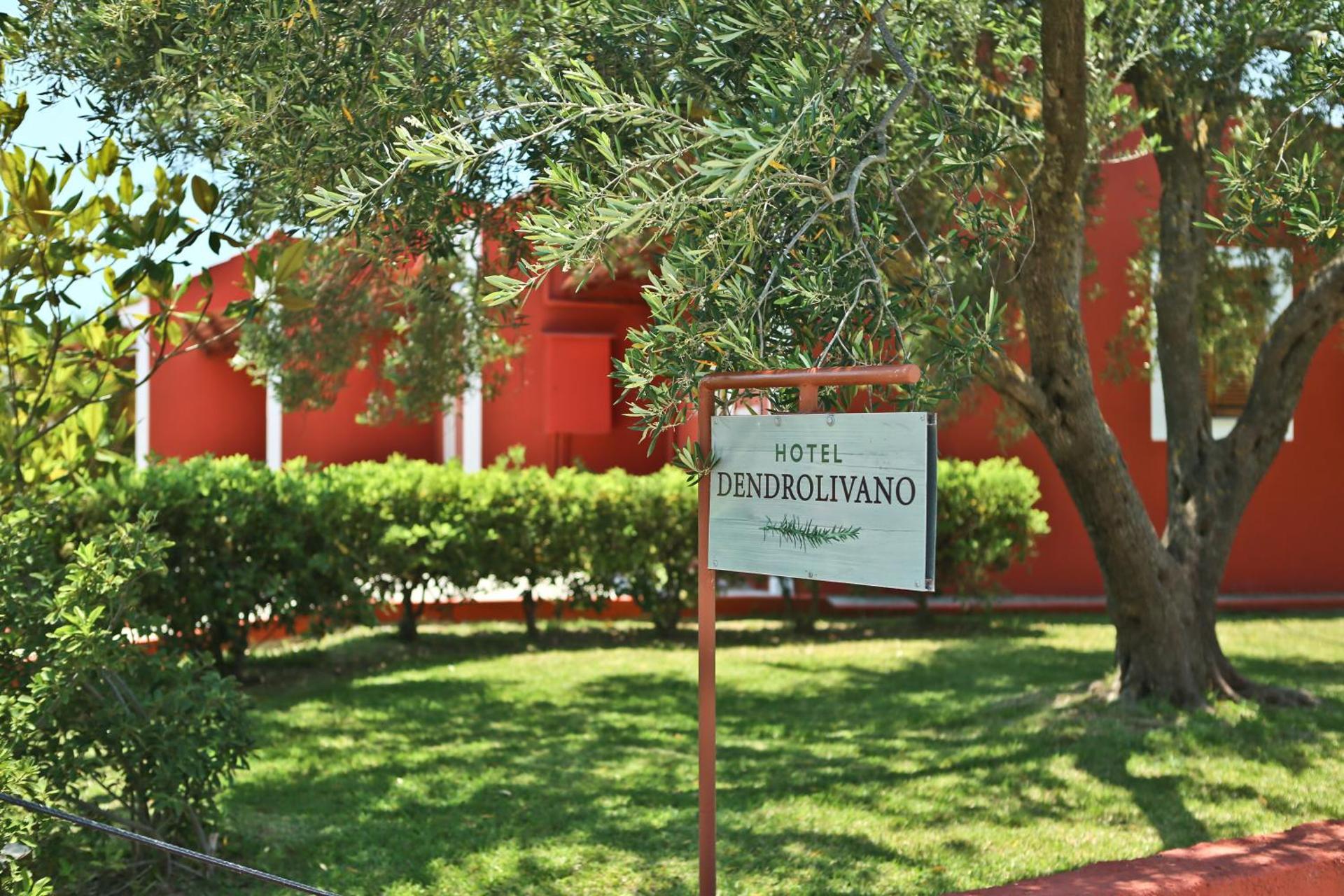 Dendrolivano - Photo 36